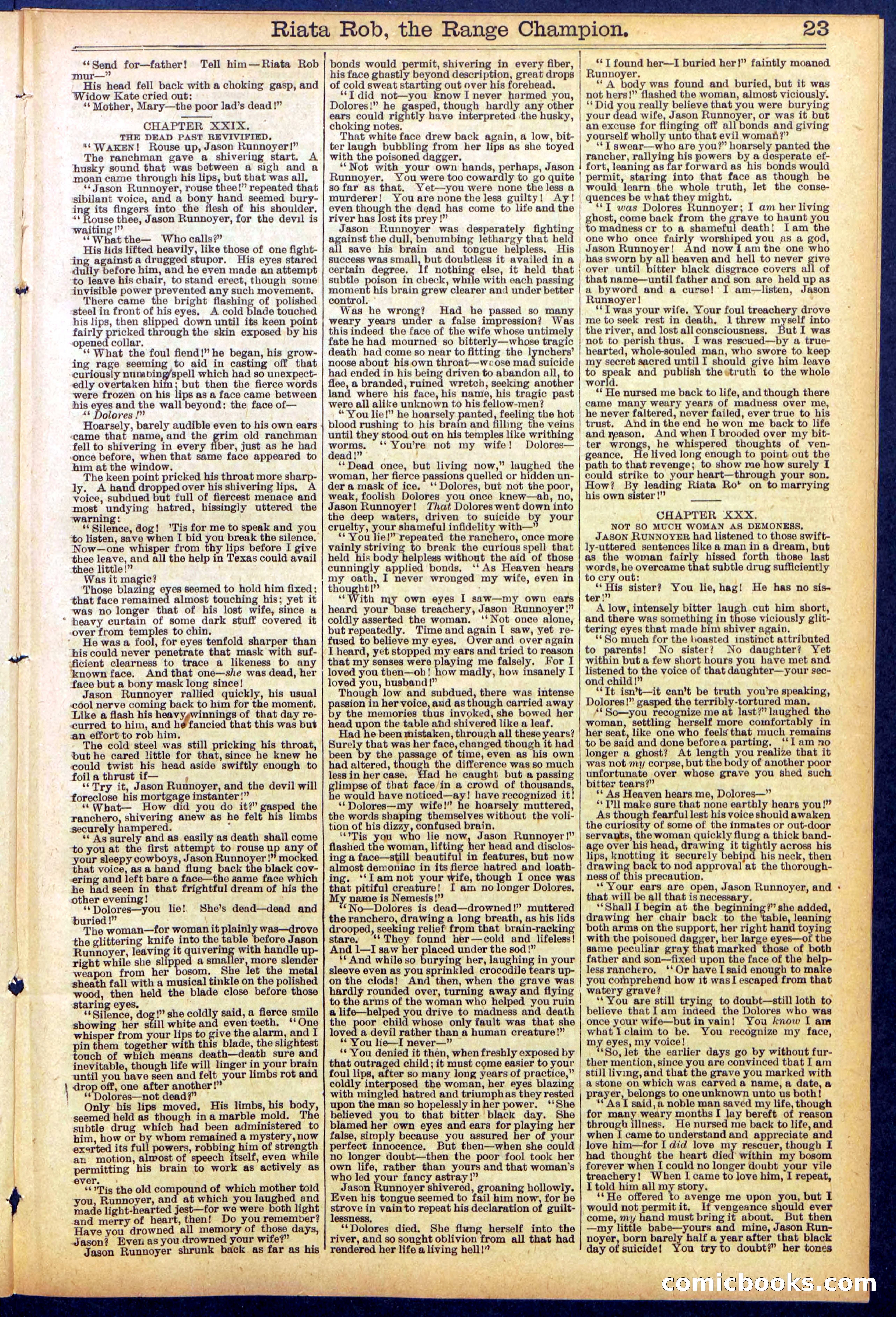Beadle's New York Dime Library No. 862 — page 23 of 32