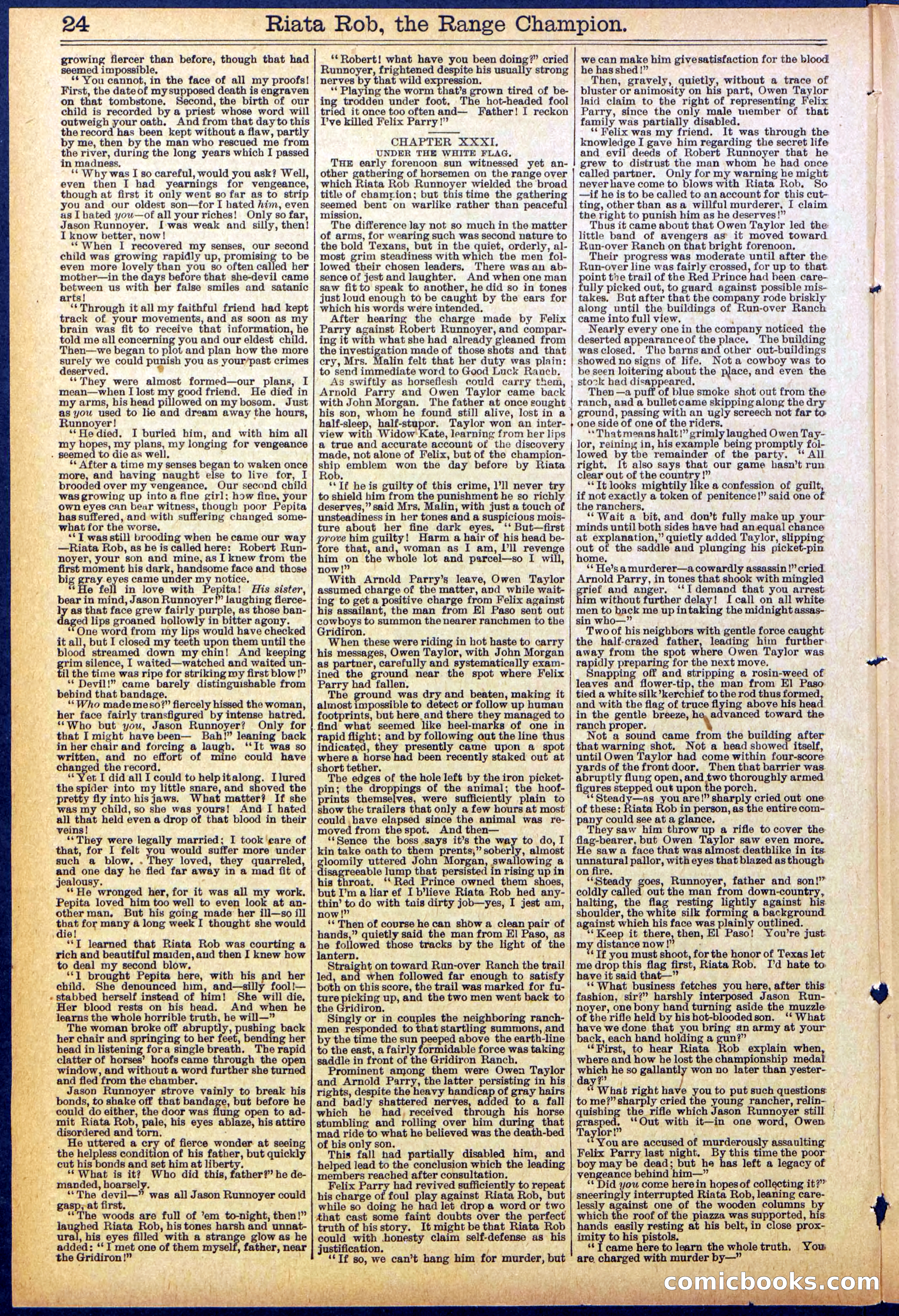 Beadle's New York Dime Library No. 862 — page 24 of 32