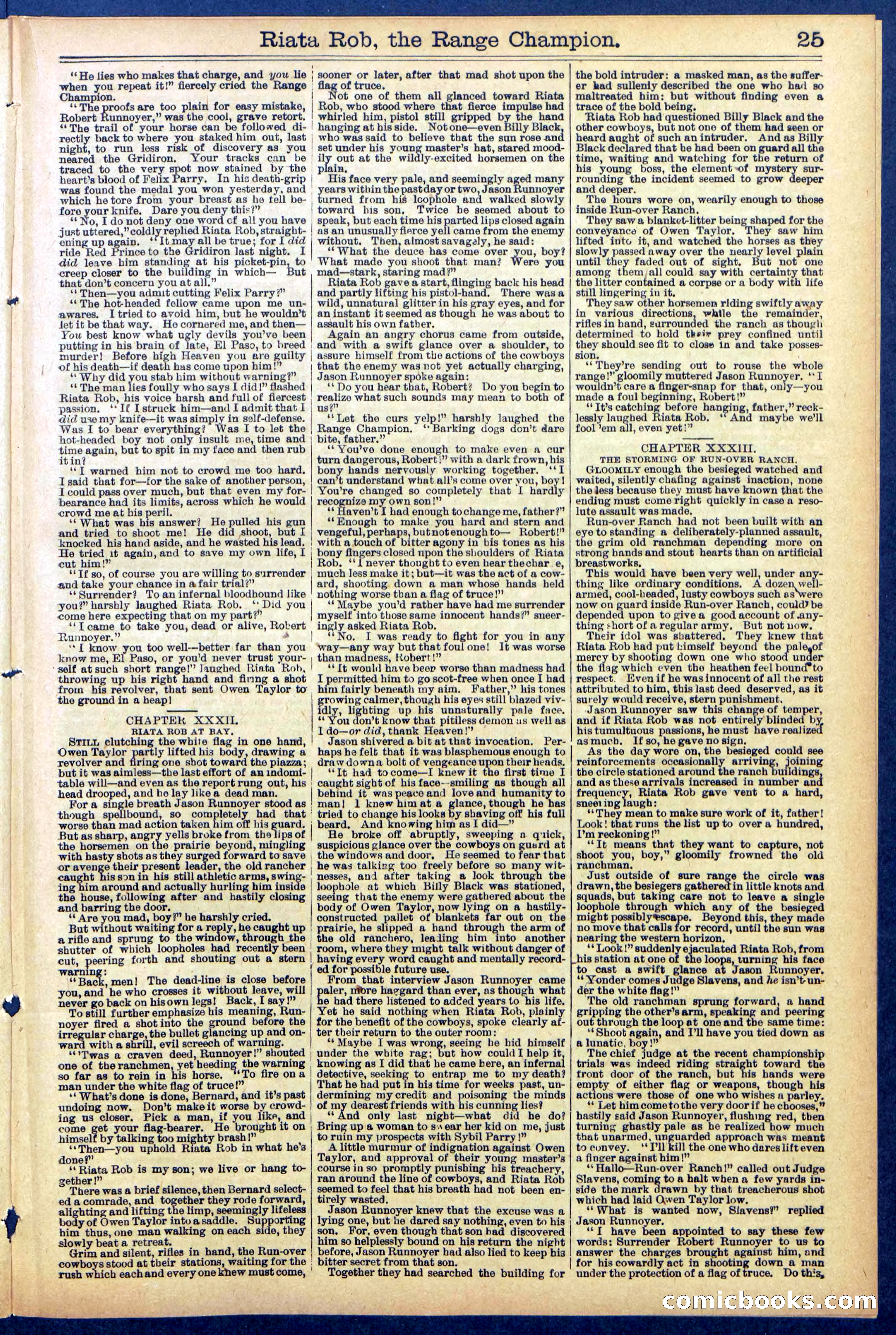 Beadle's New York Dime Library No. 862 — page 25 of 32