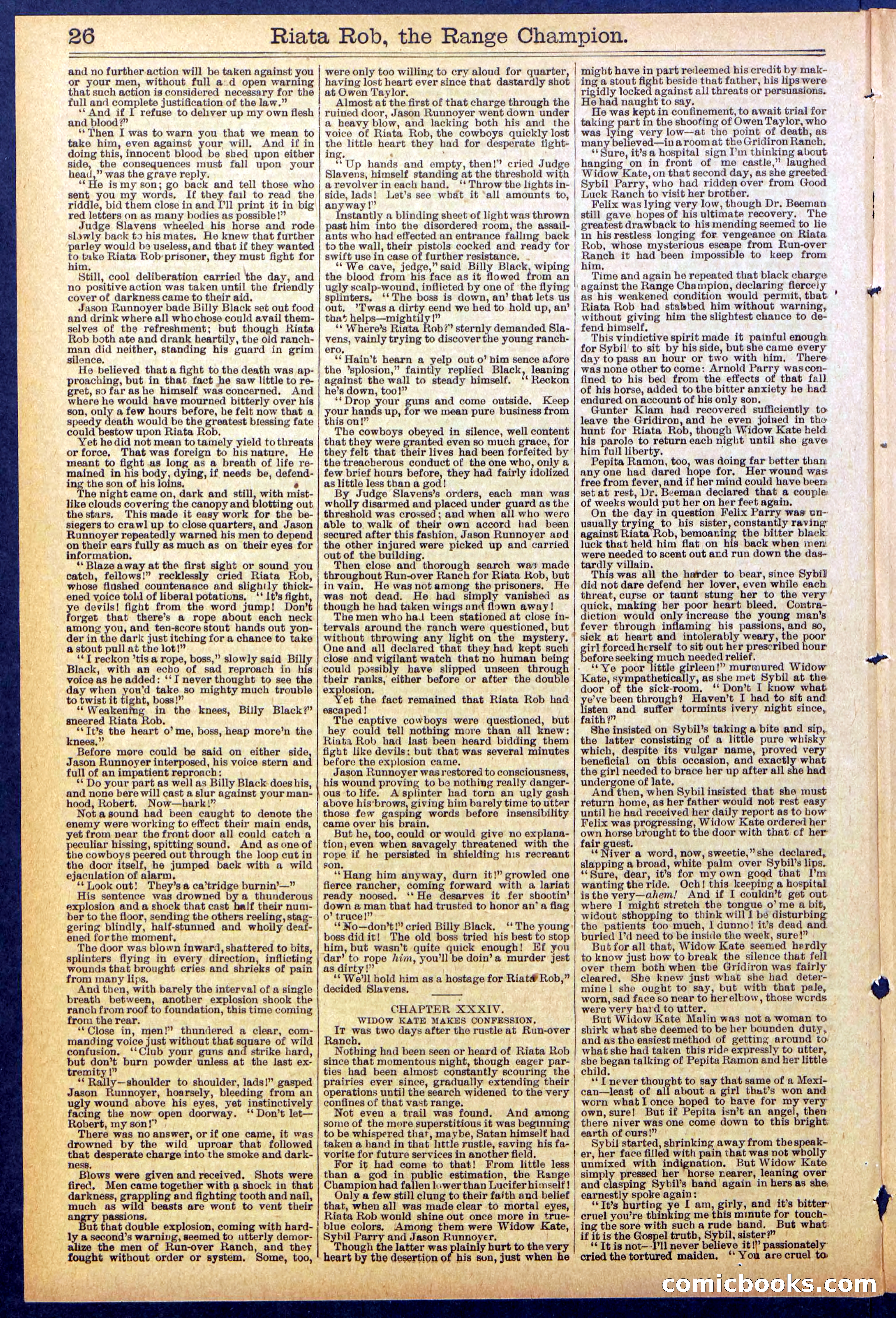 Beadle's New York Dime Library No. 862 — page 26 of 32