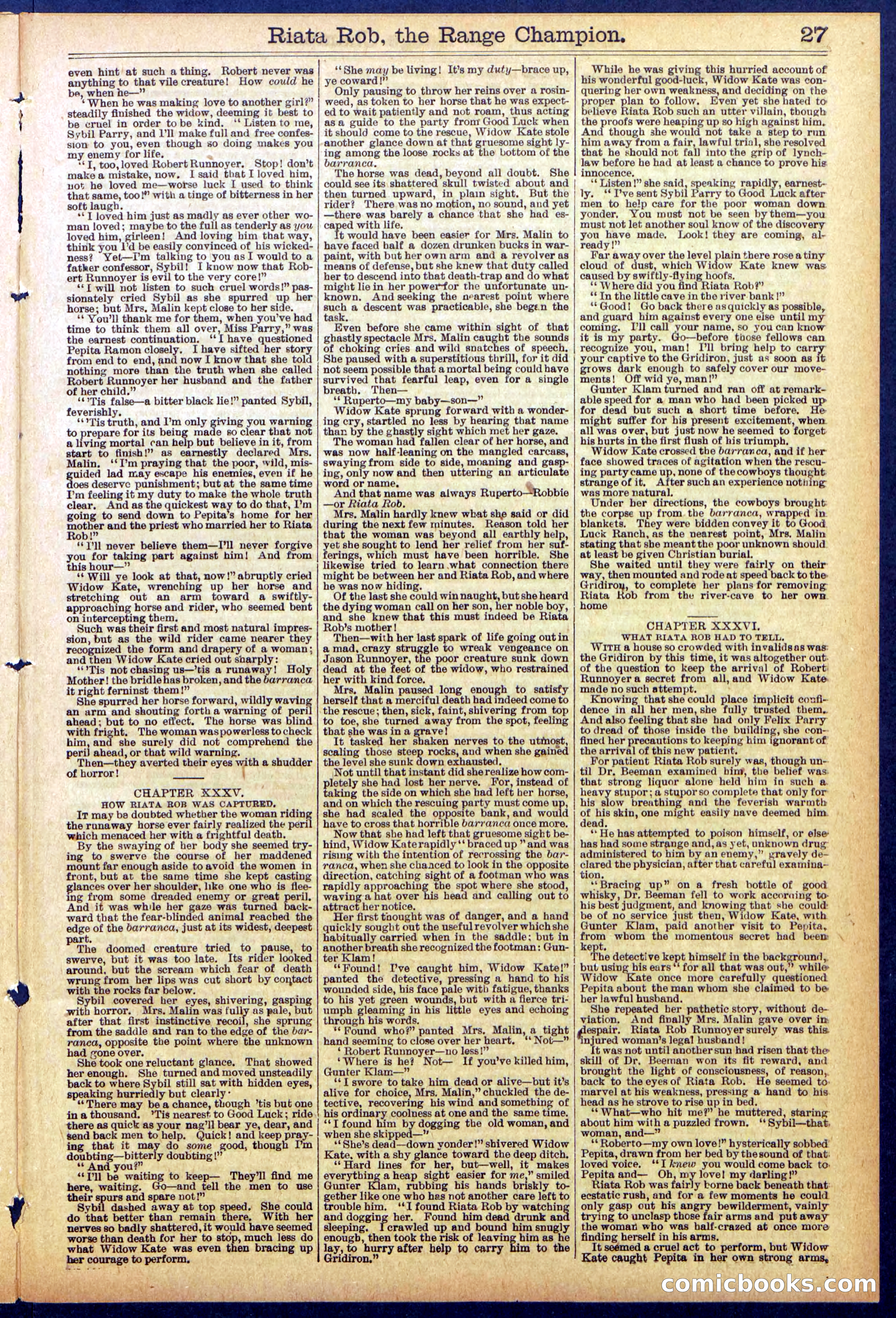 Beadle's New York Dime Library No. 862 — page 27 of 32