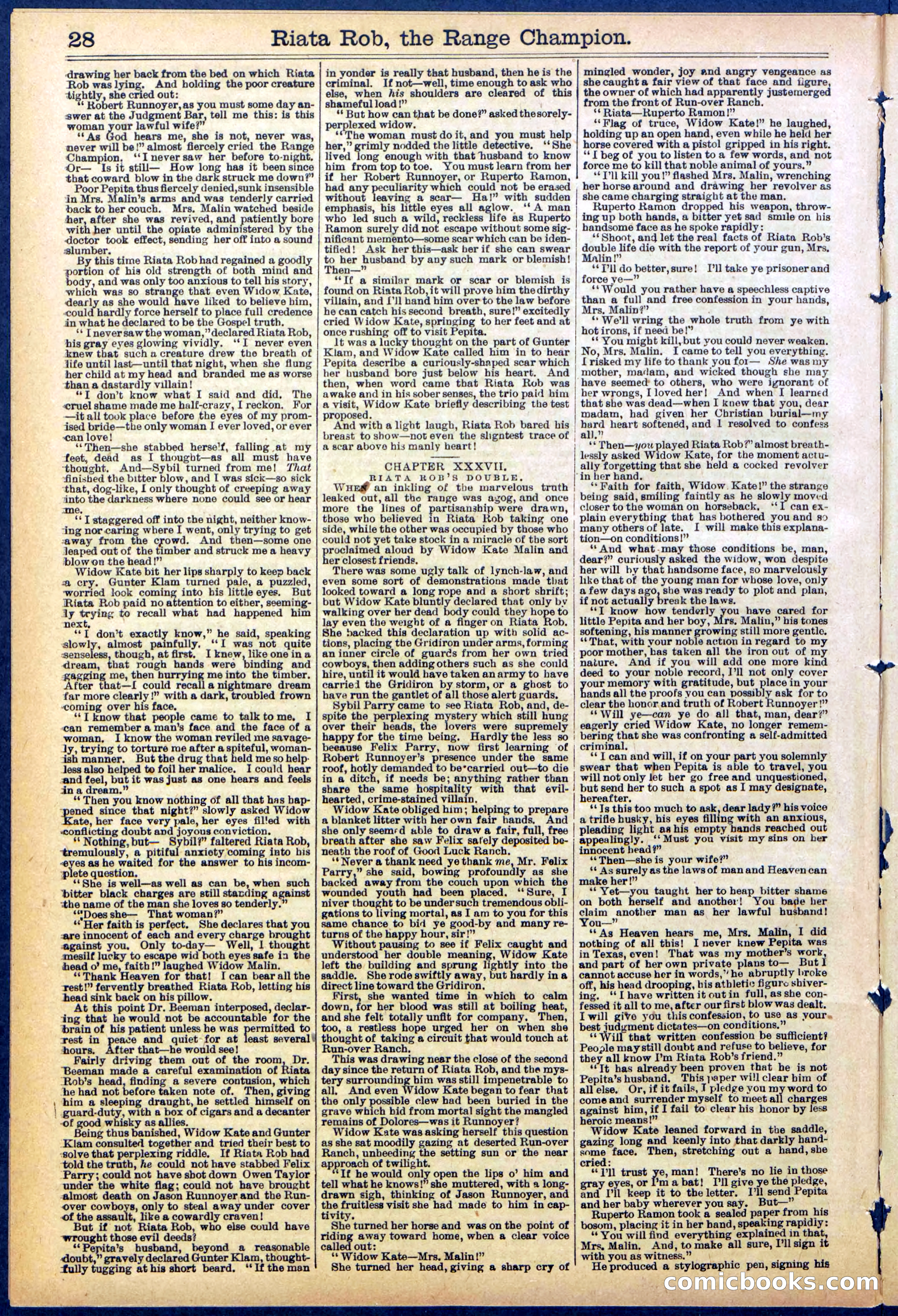 Beadle's New York Dime Library No. 862 — page 28 of 32