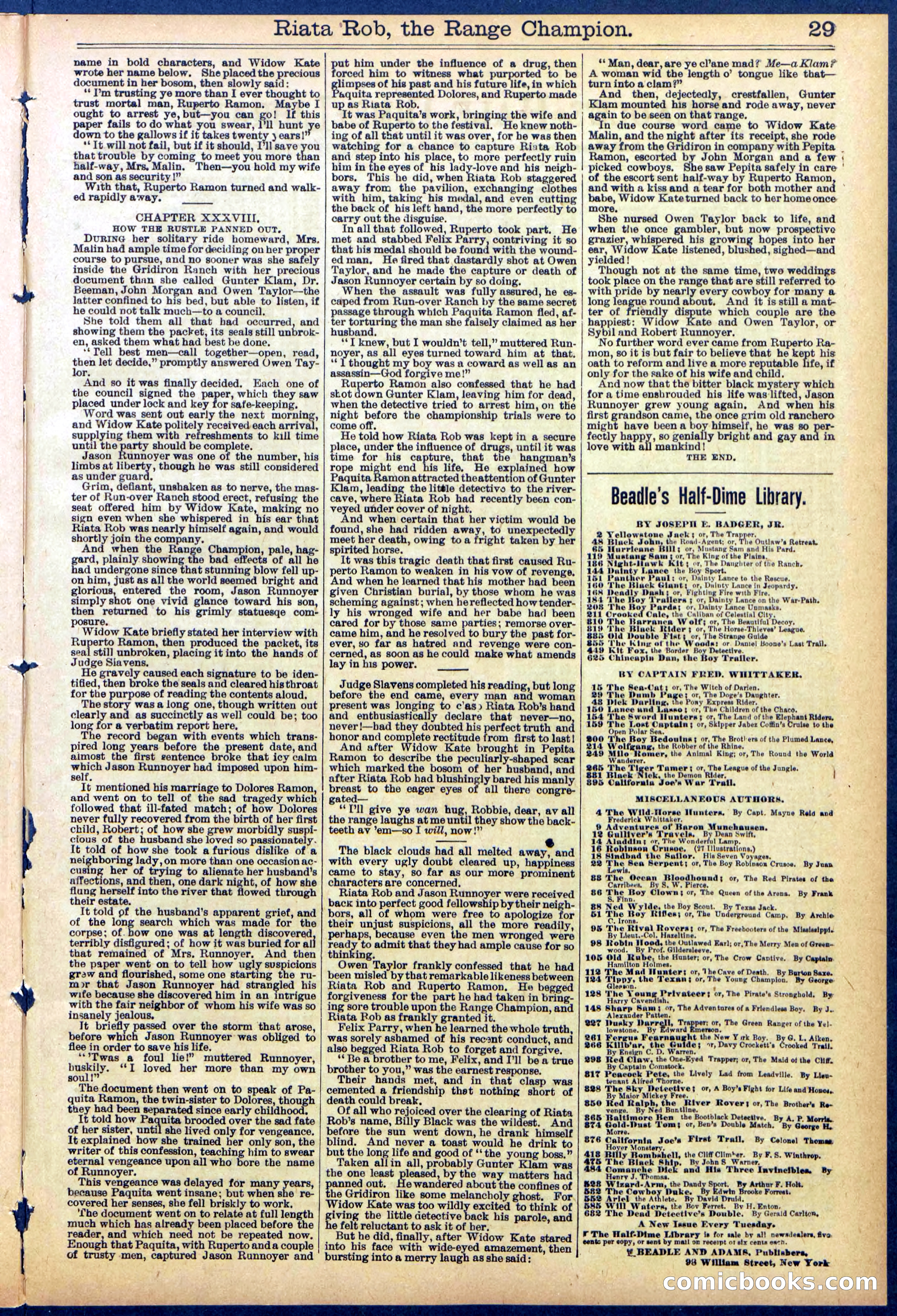 Beadle's New York Dime Library No. 862 — page 29 of 32