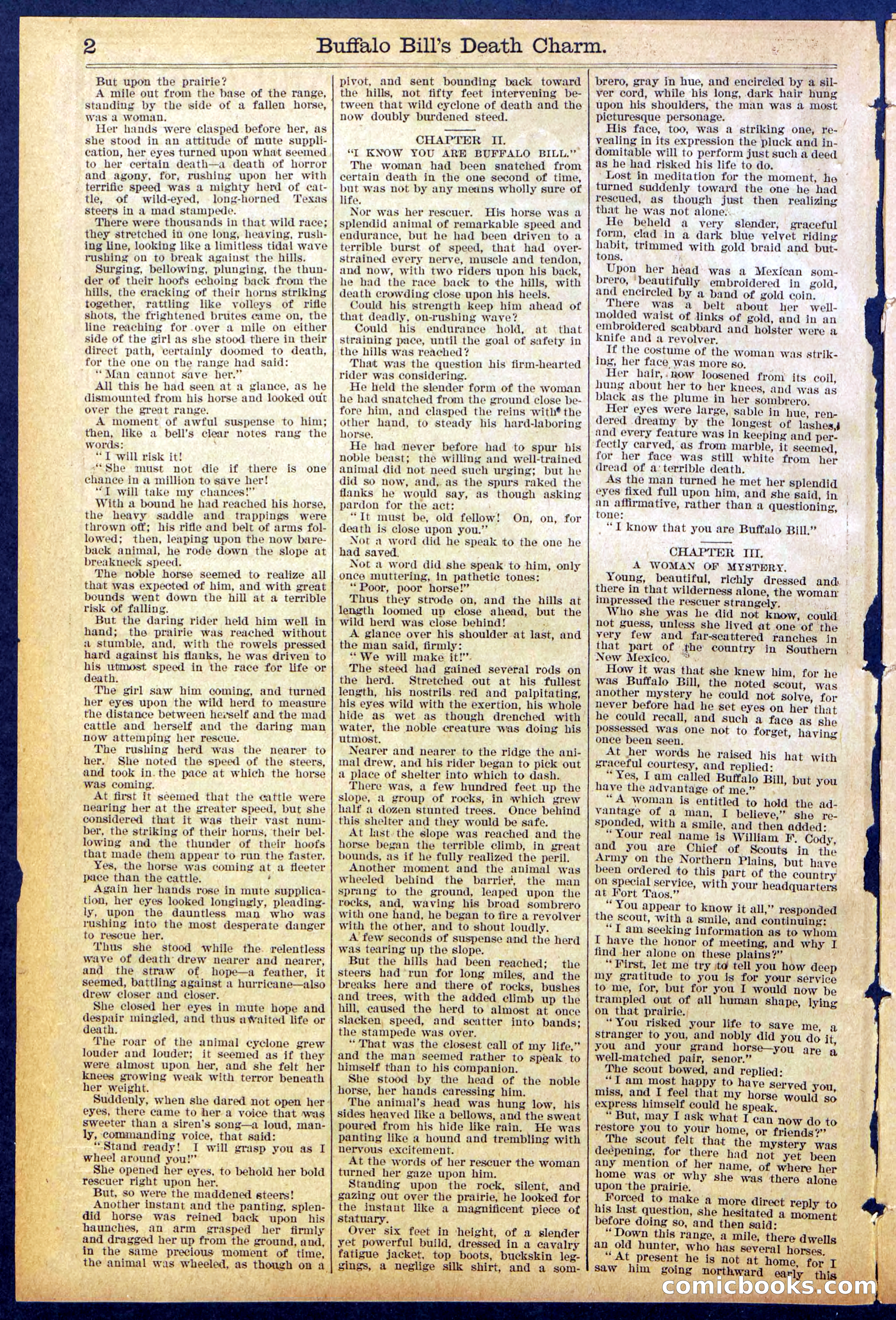Beadle's New York Dime Library No. 863 — page 2 of 32