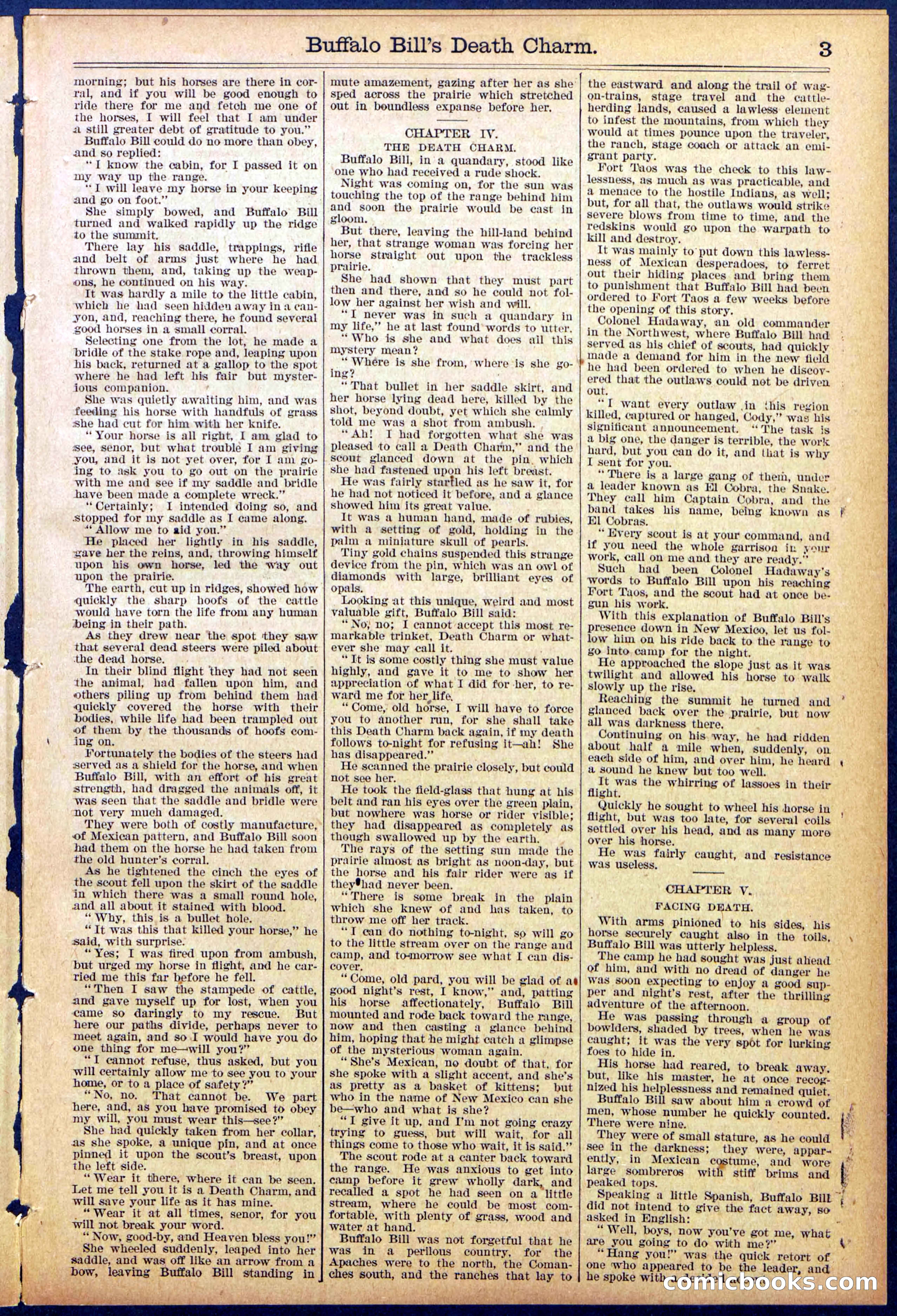 Beadle's New York Dime Library No. 863 — page 3 of 32