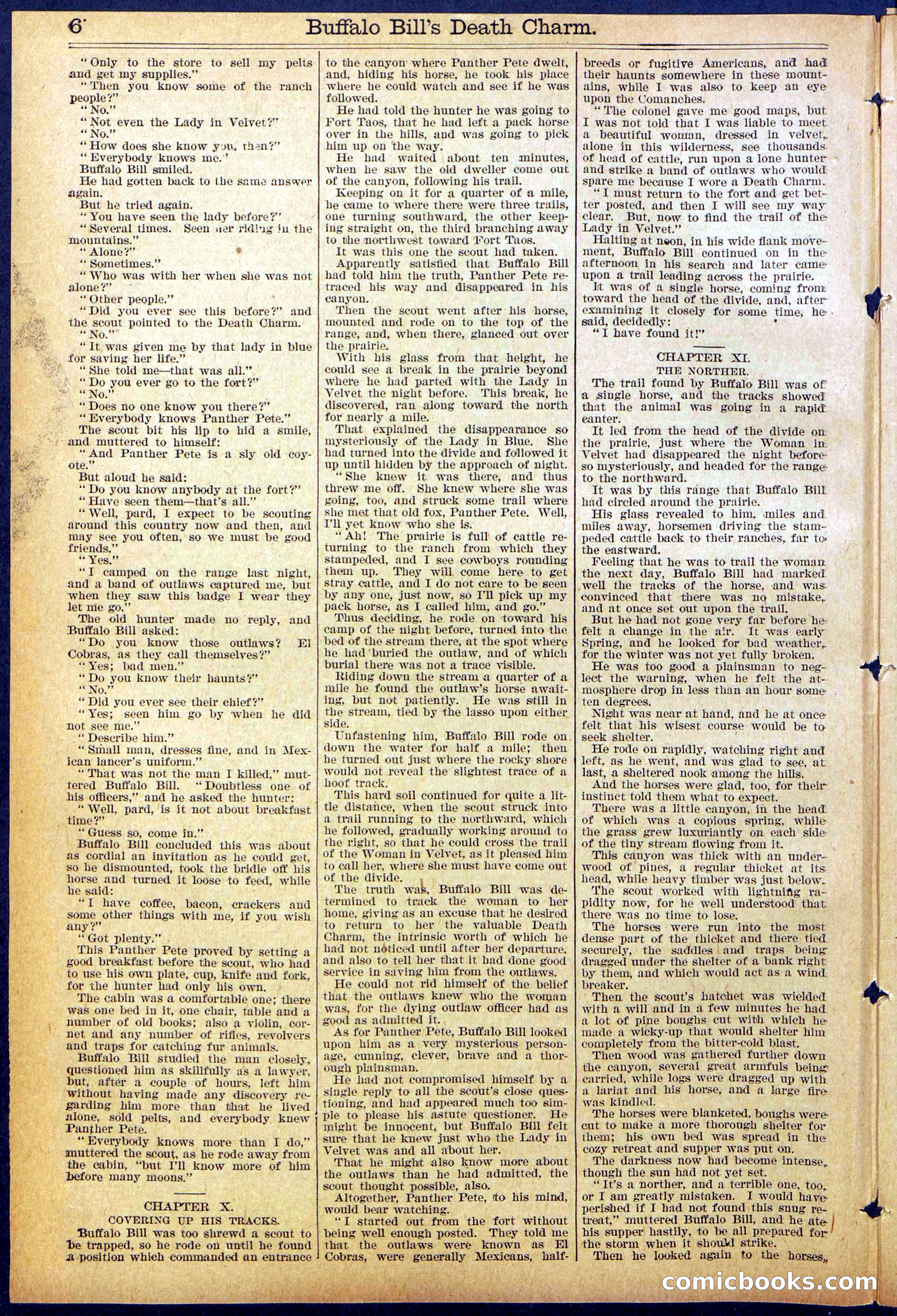 Beadle's New York Dime Library No. 863 — page 6 of 32