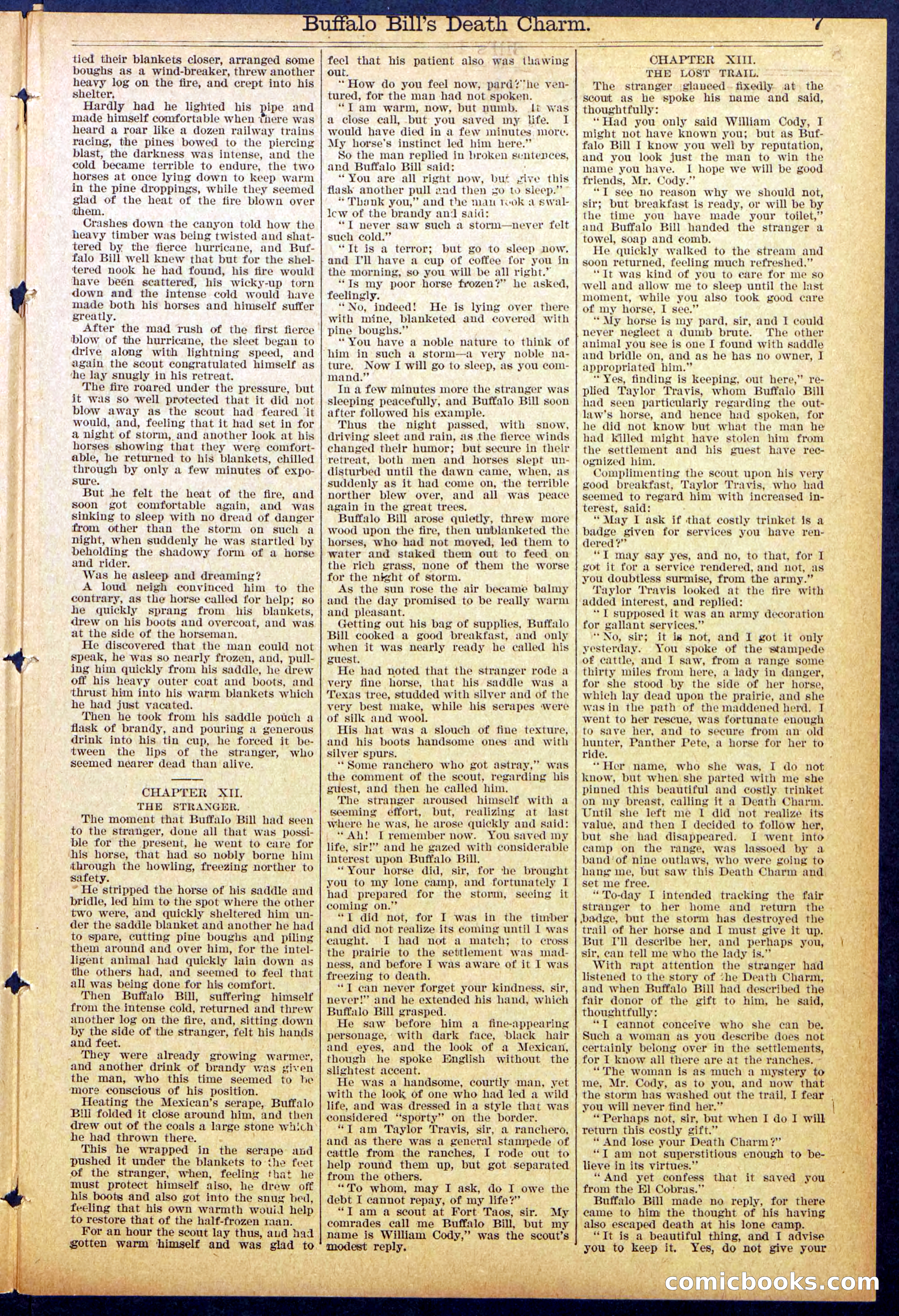 Beadle's New York Dime Library No. 863 — page 7 of 32