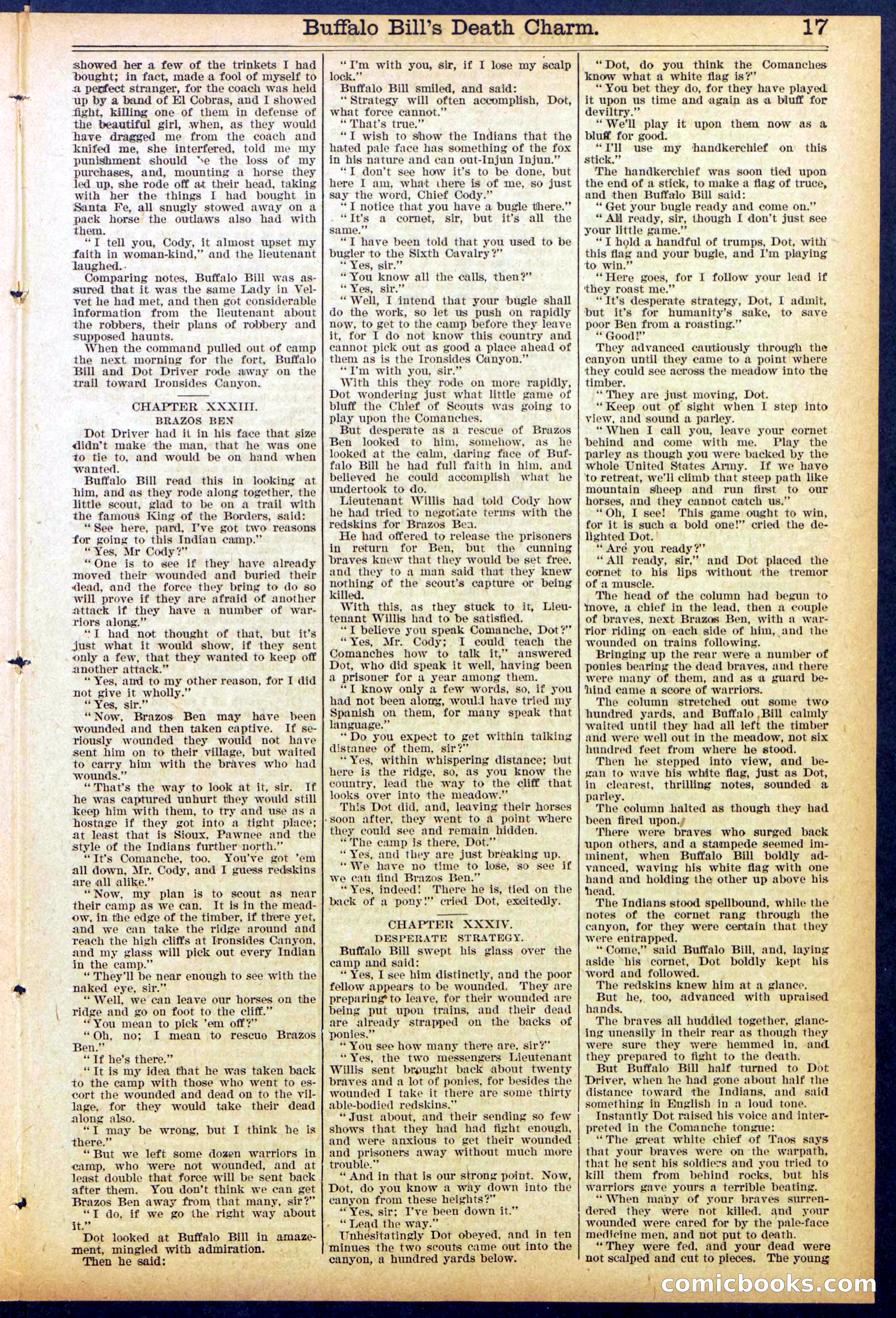 Beadle's New York Dime Library No. 863 — page 17 of 32