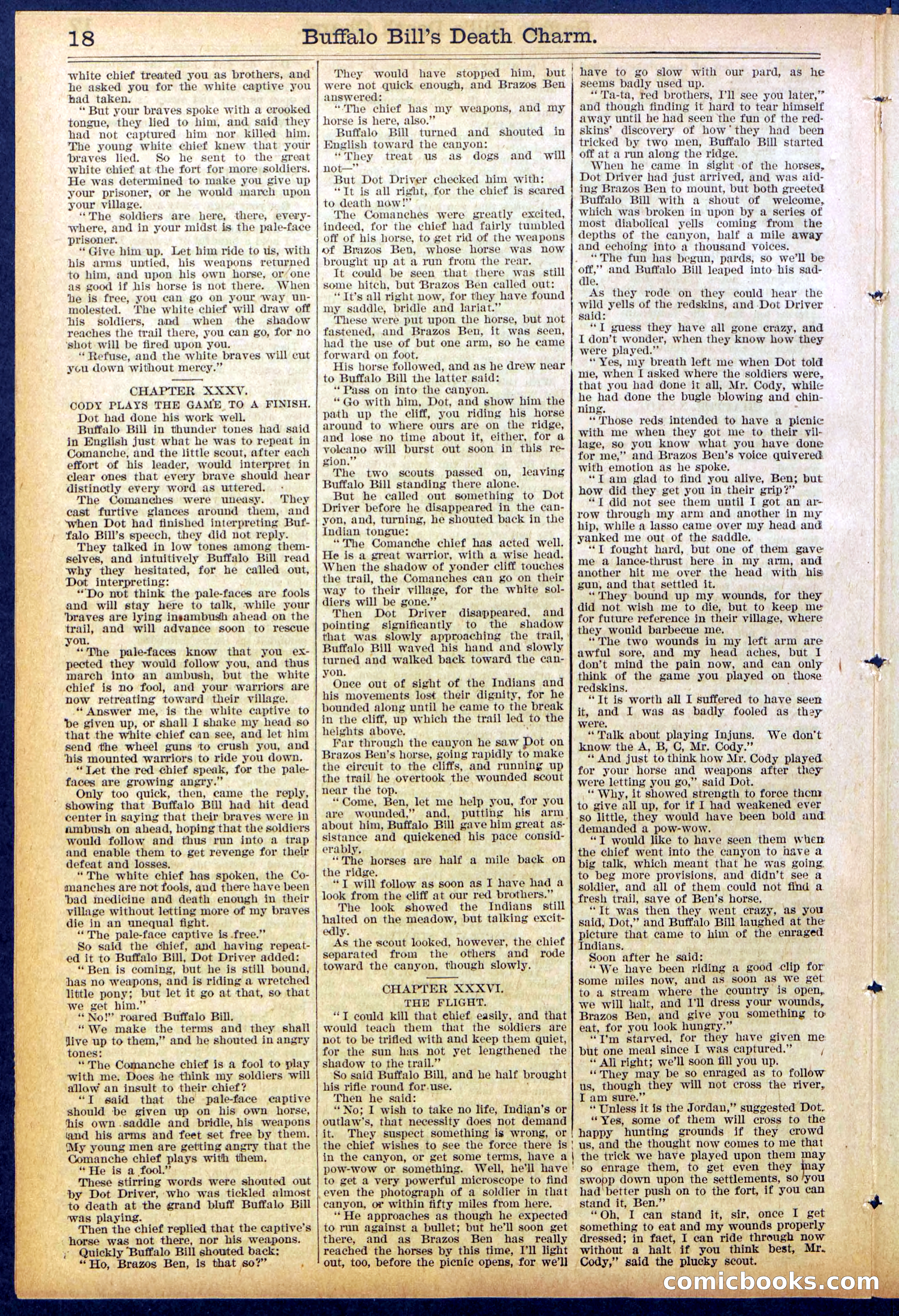 Beadle's New York Dime Library No. 863 — page 18 of 32
