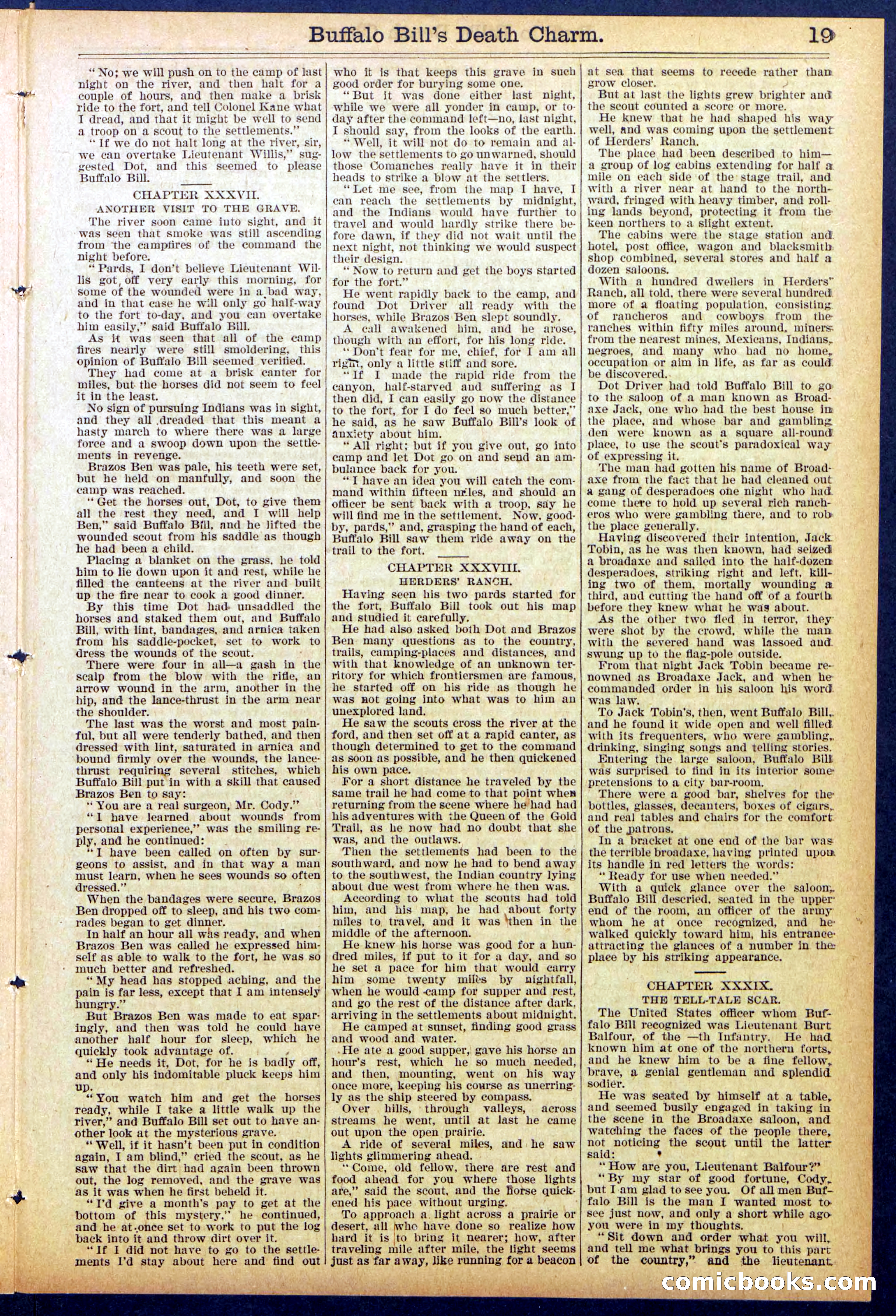 Beadle's New York Dime Library No. 863 — page 19 of 32