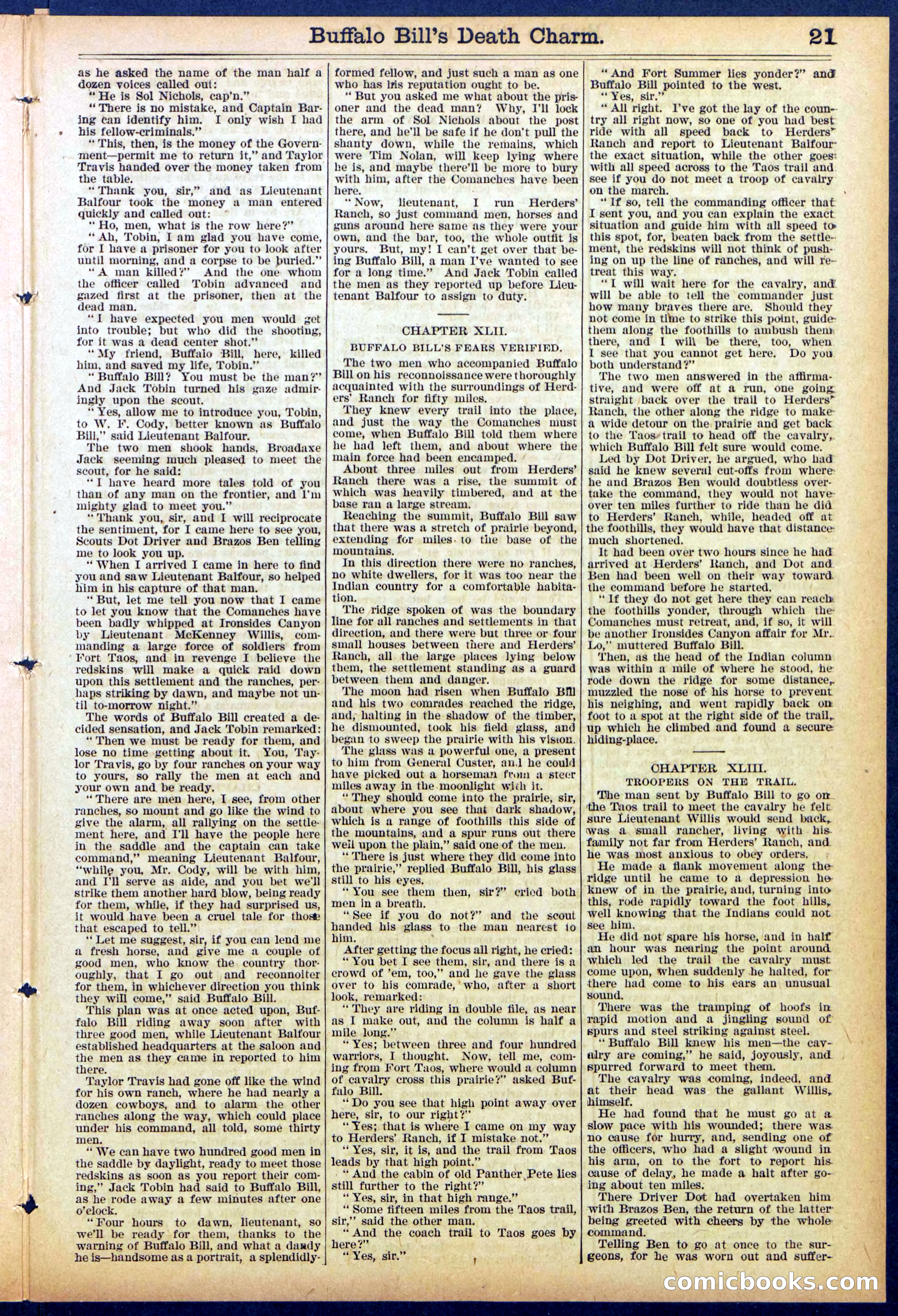 Beadle's New York Dime Library No. 863 — page 21 of 32