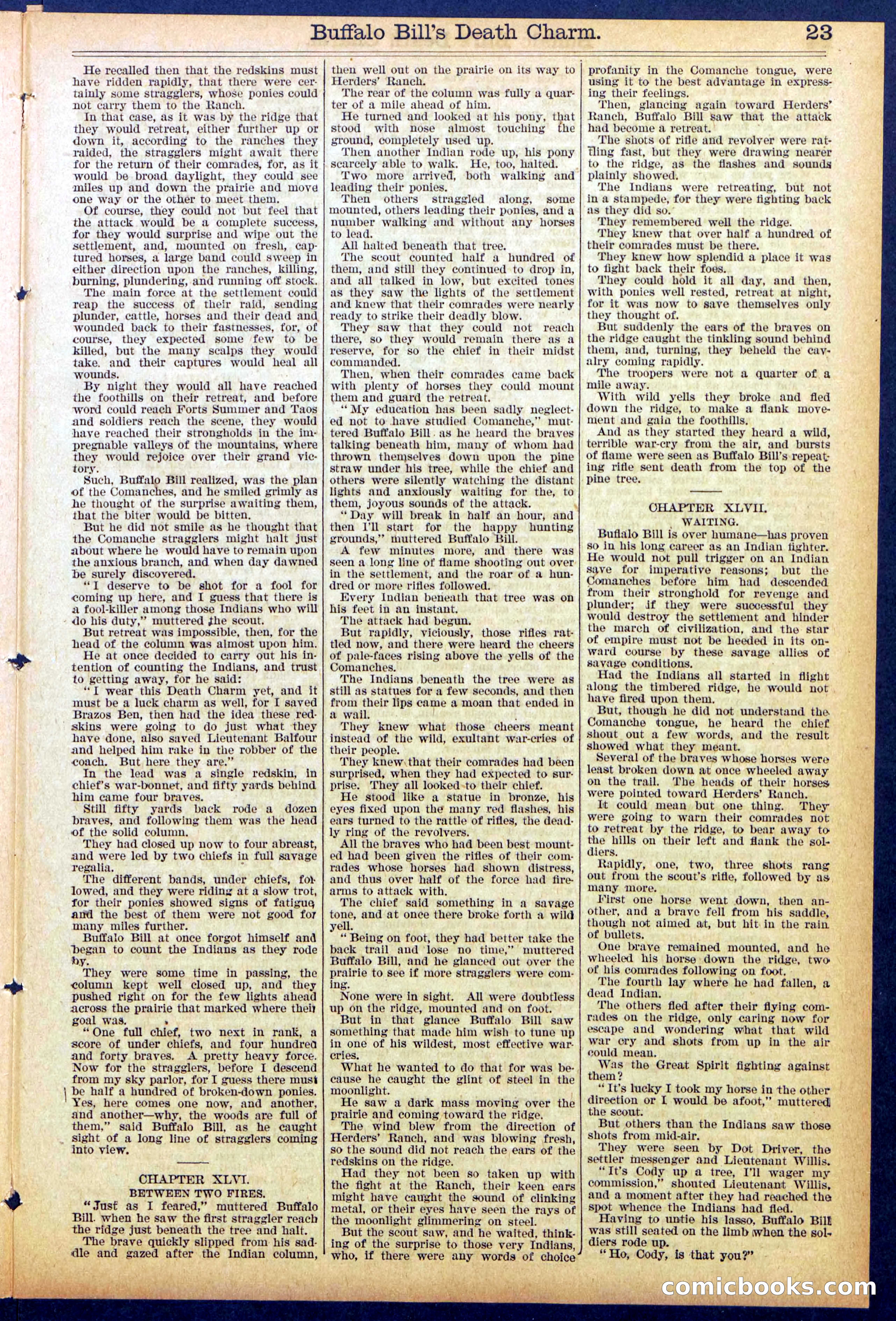 Beadle's New York Dime Library No. 863 — page 23 of 32
