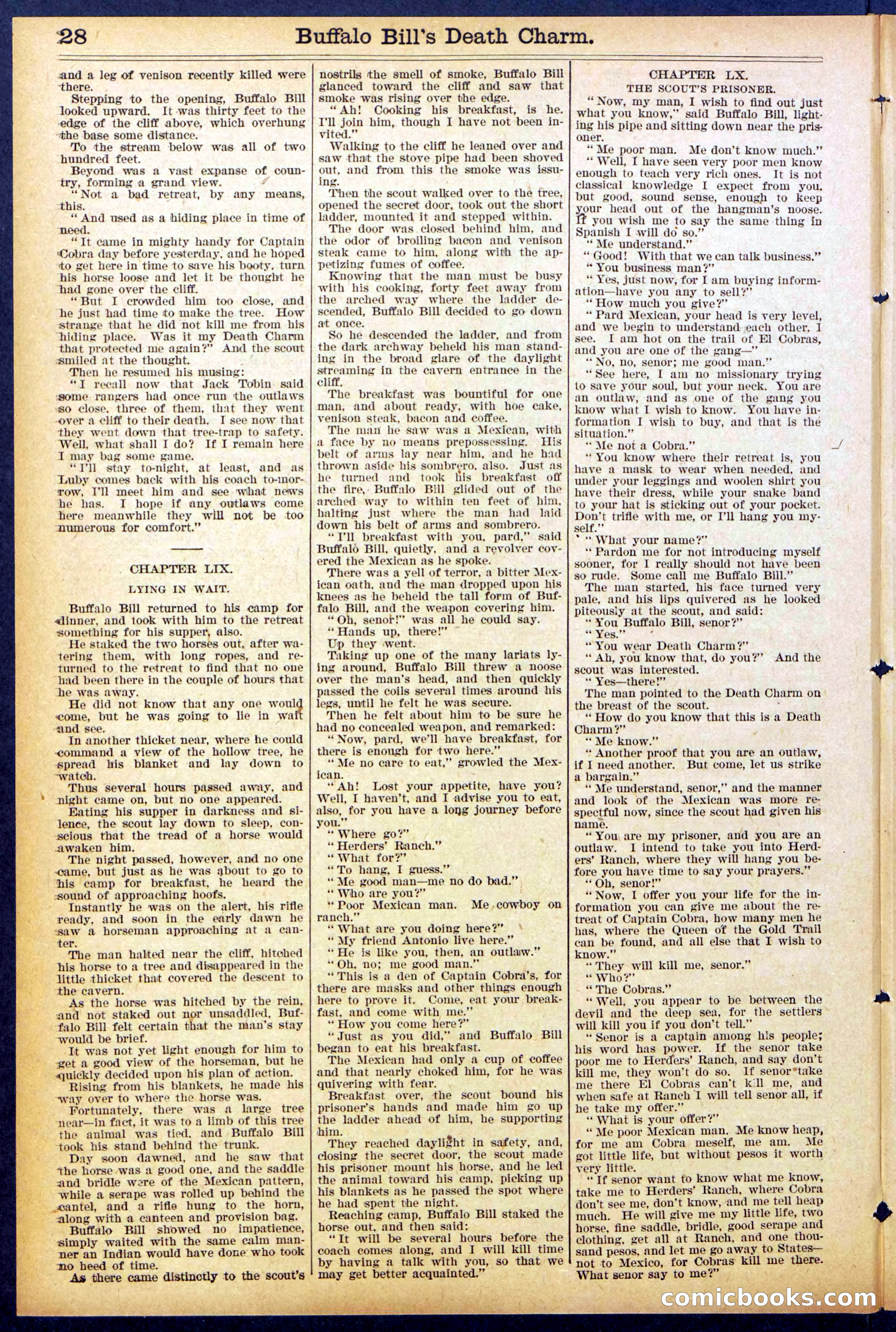 Beadle's New York Dime Library No. 863 — page 28 of 32