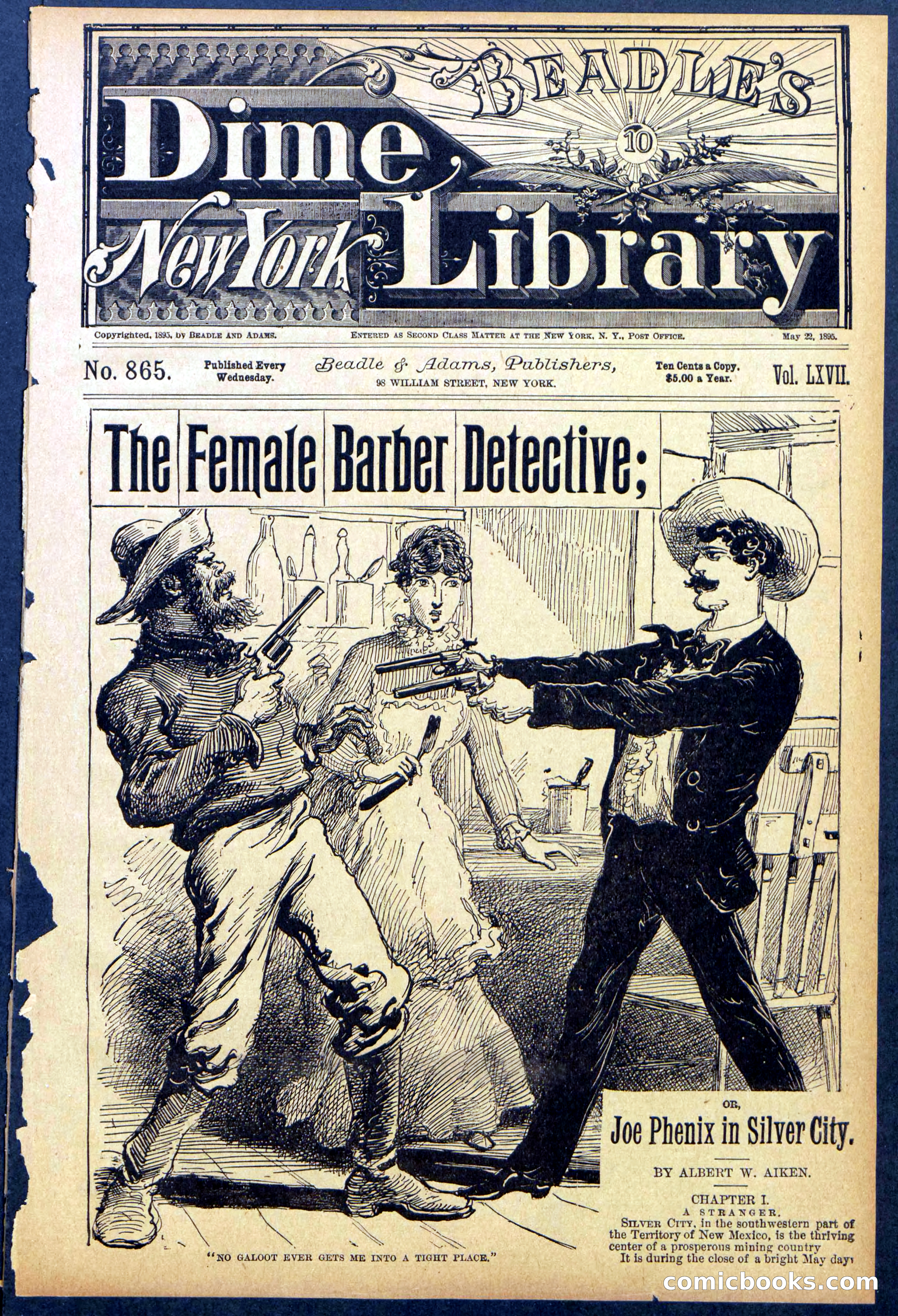 The Female Barber Detective
