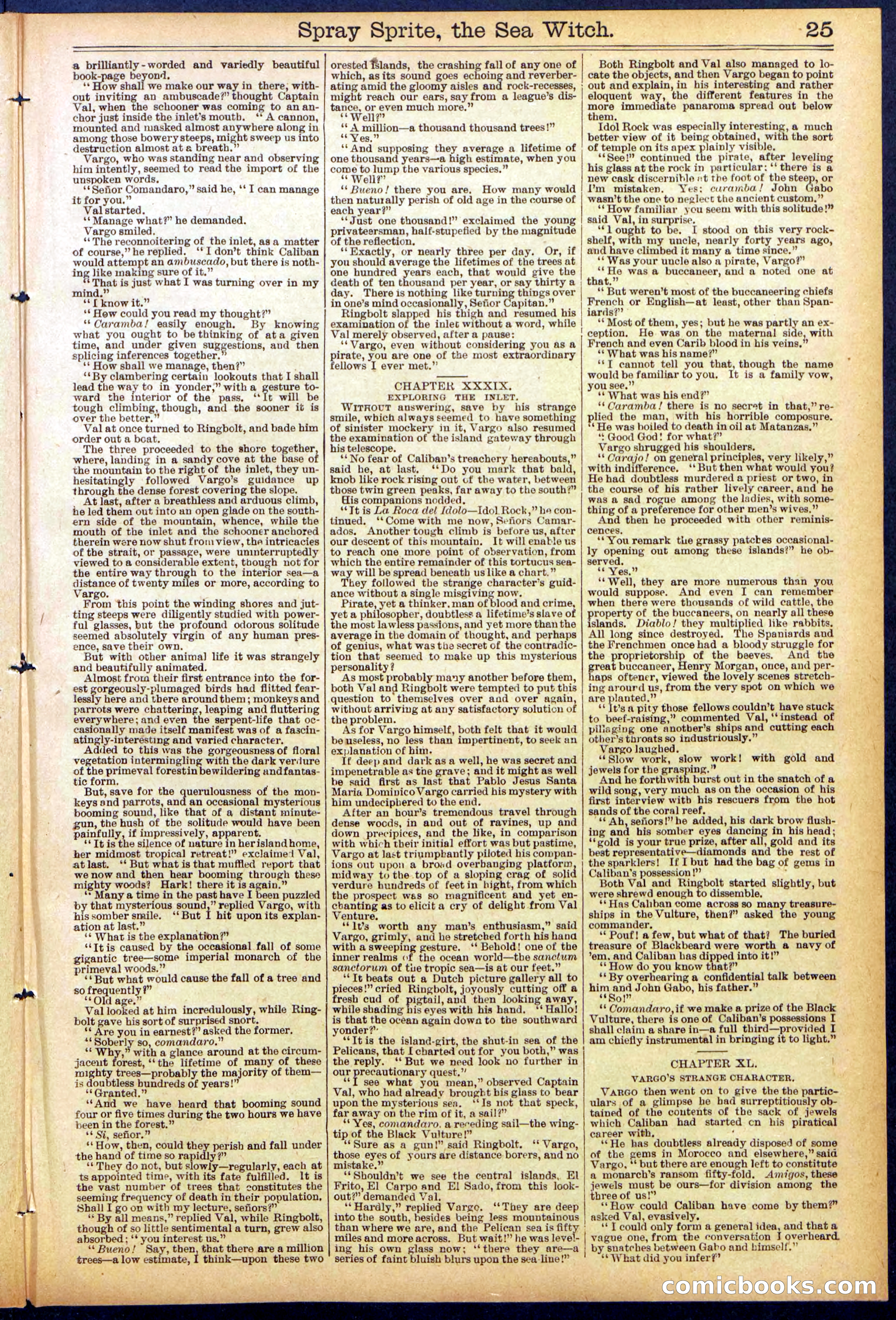 Beadle's Dime Library No. 866 — page 25 of 32
