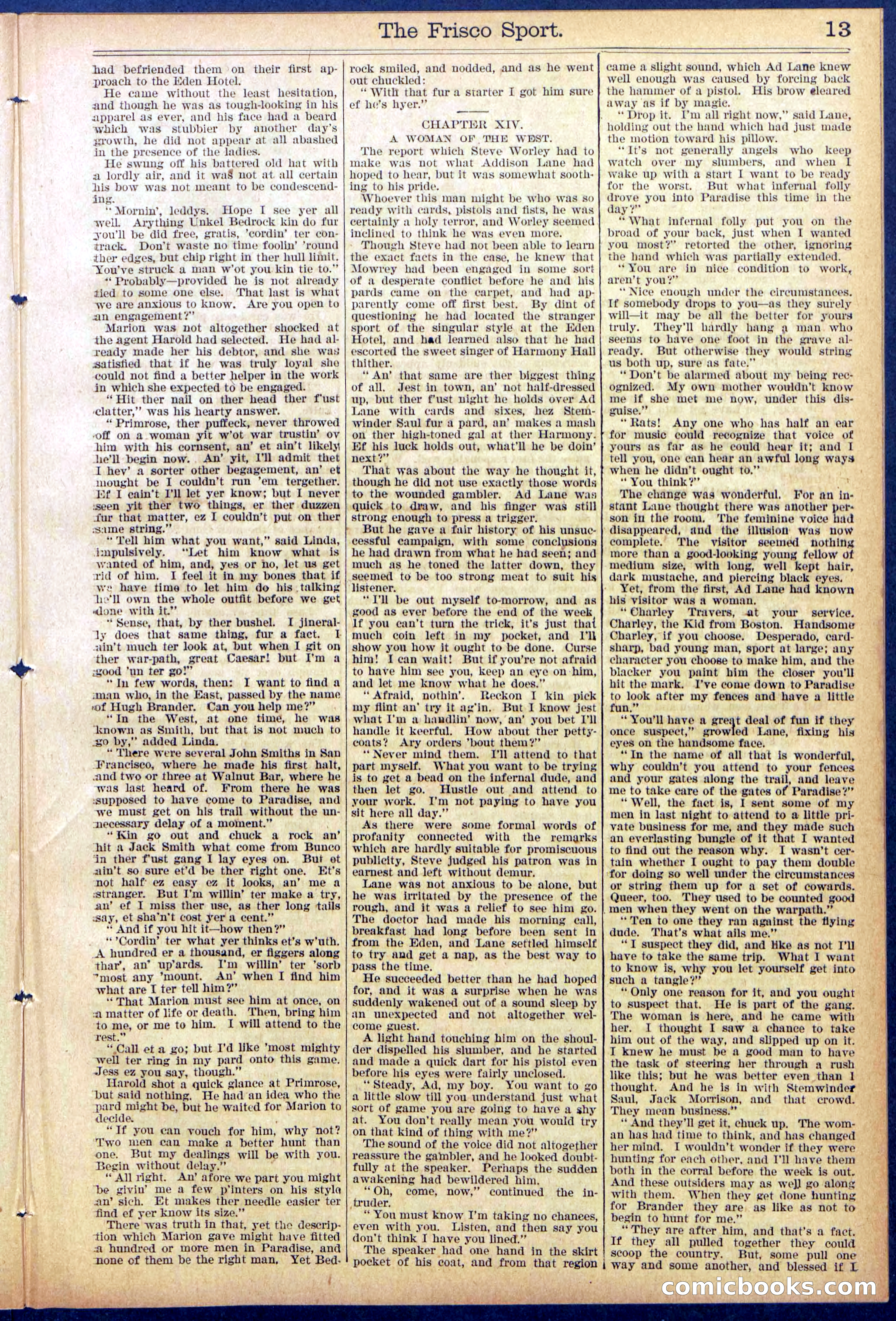 Beadle's New York Dime Library, No. 867 — page 13 of 32