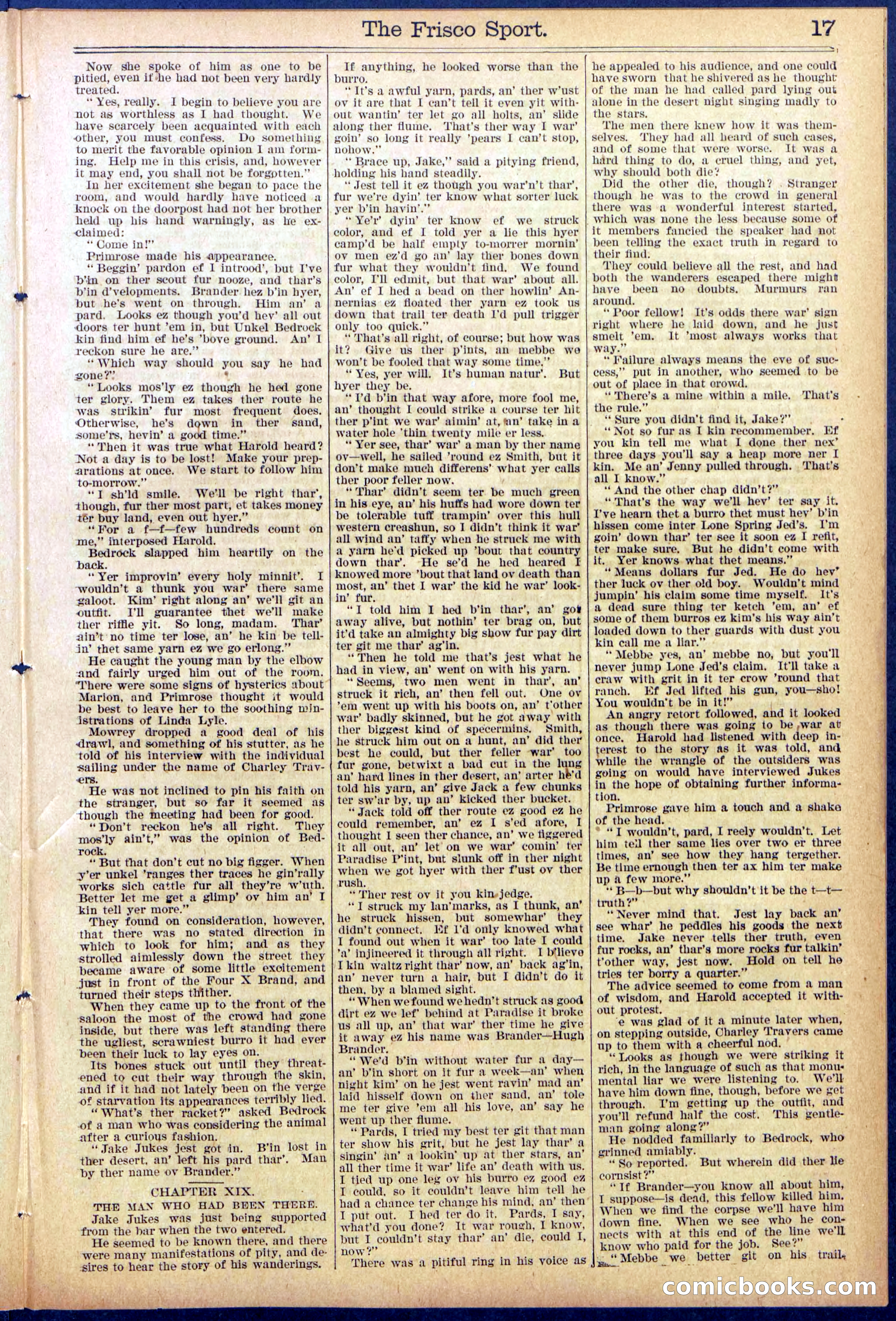 Beadle's New York Dime Library, No. 867 — page 17 of 32