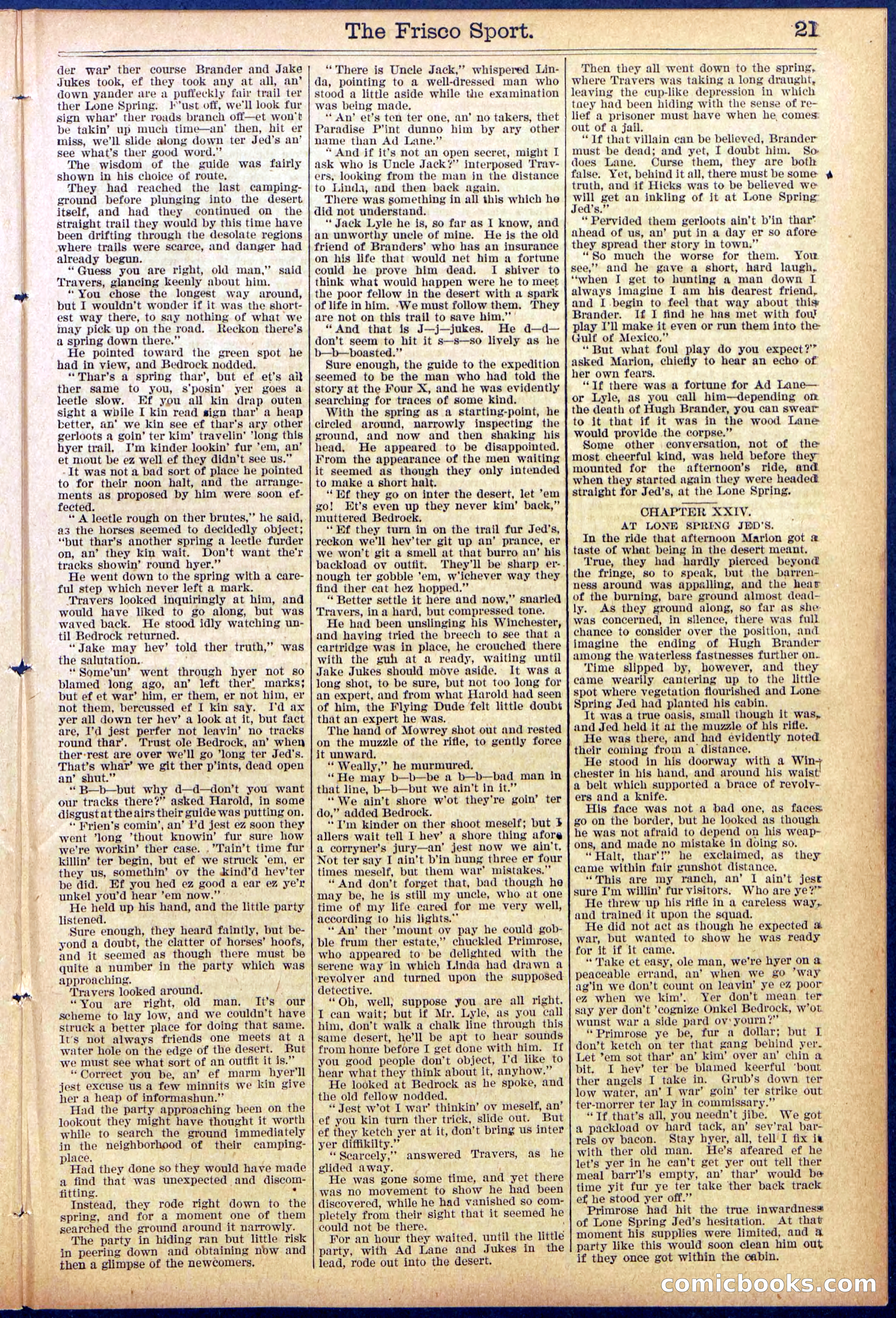Beadle's New York Dime Library, No. 867 — page 21 of 32