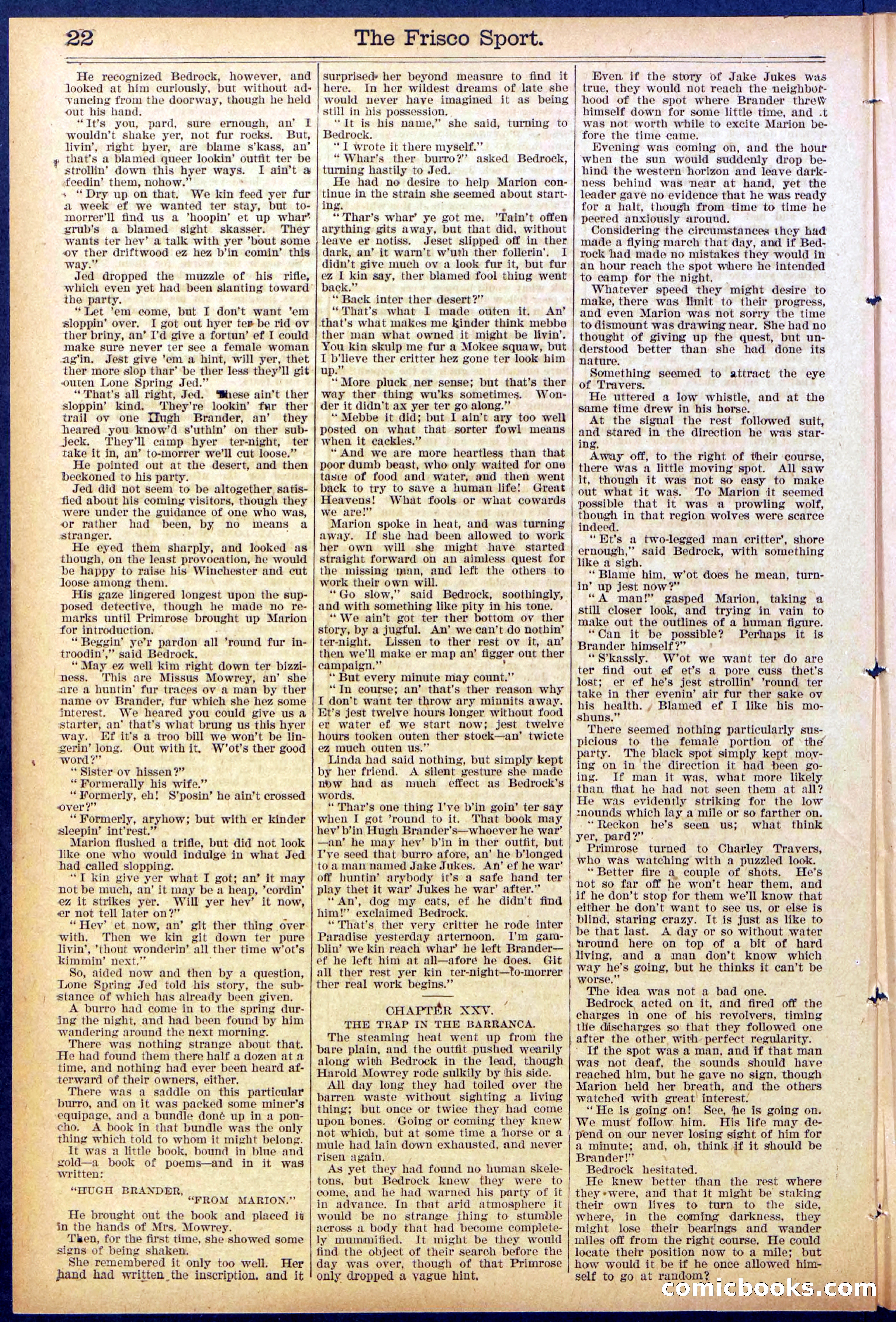 Beadle's New York Dime Library, No. 867 — page 22 of 32
