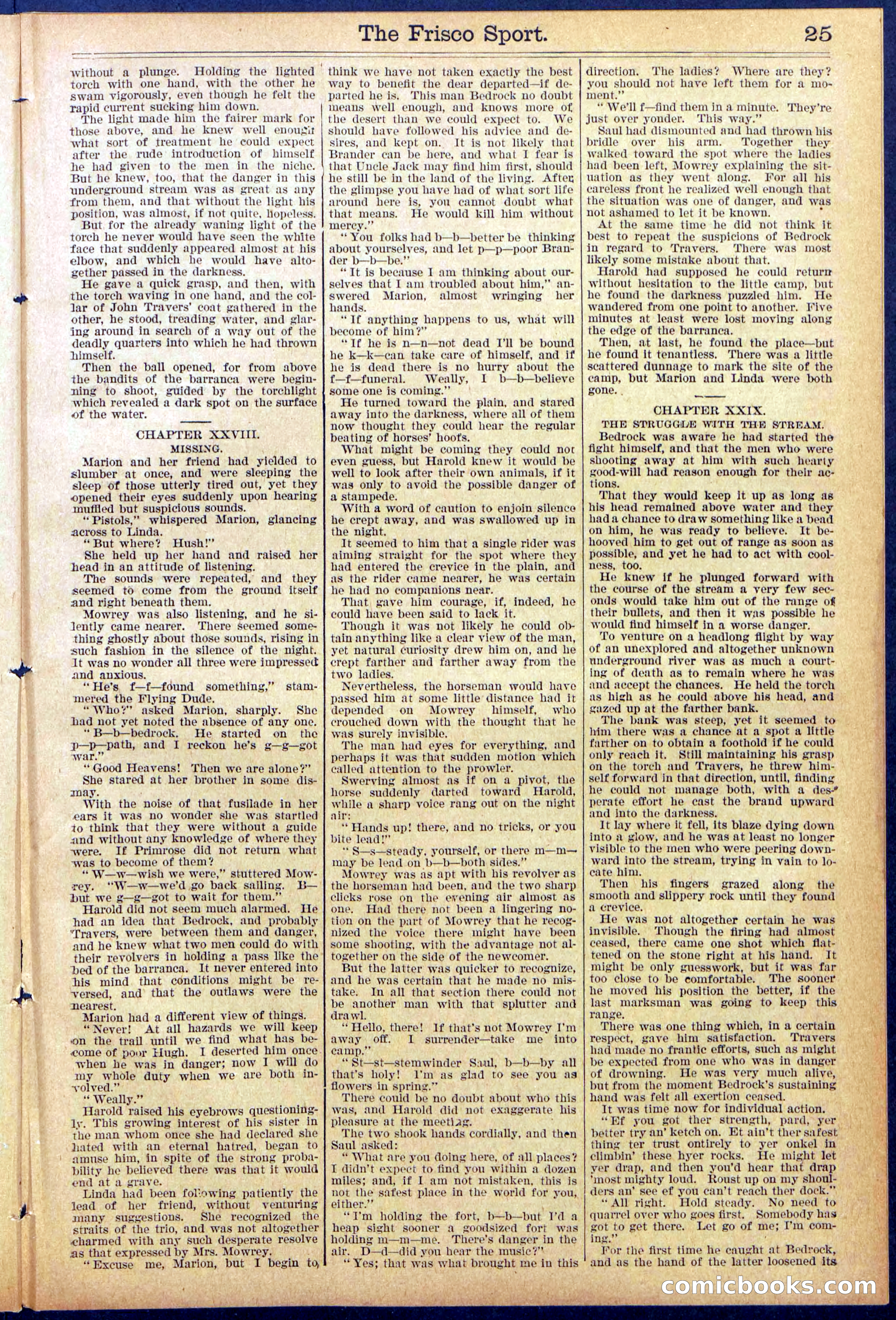 Beadle's New York Dime Library, No. 867 — page 25 of 32
