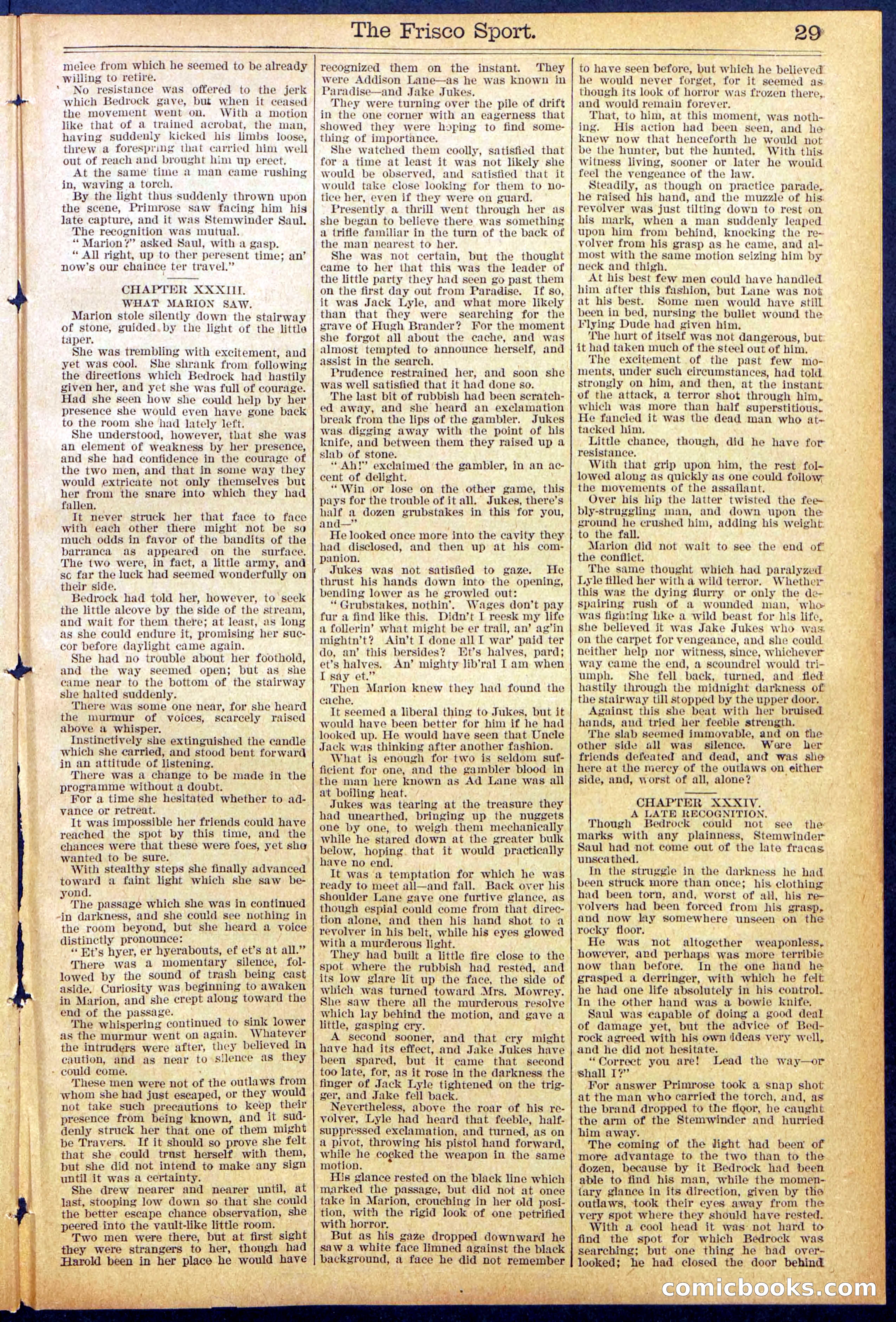 Beadle's New York Dime Library, No. 867 — page 29 of 32
