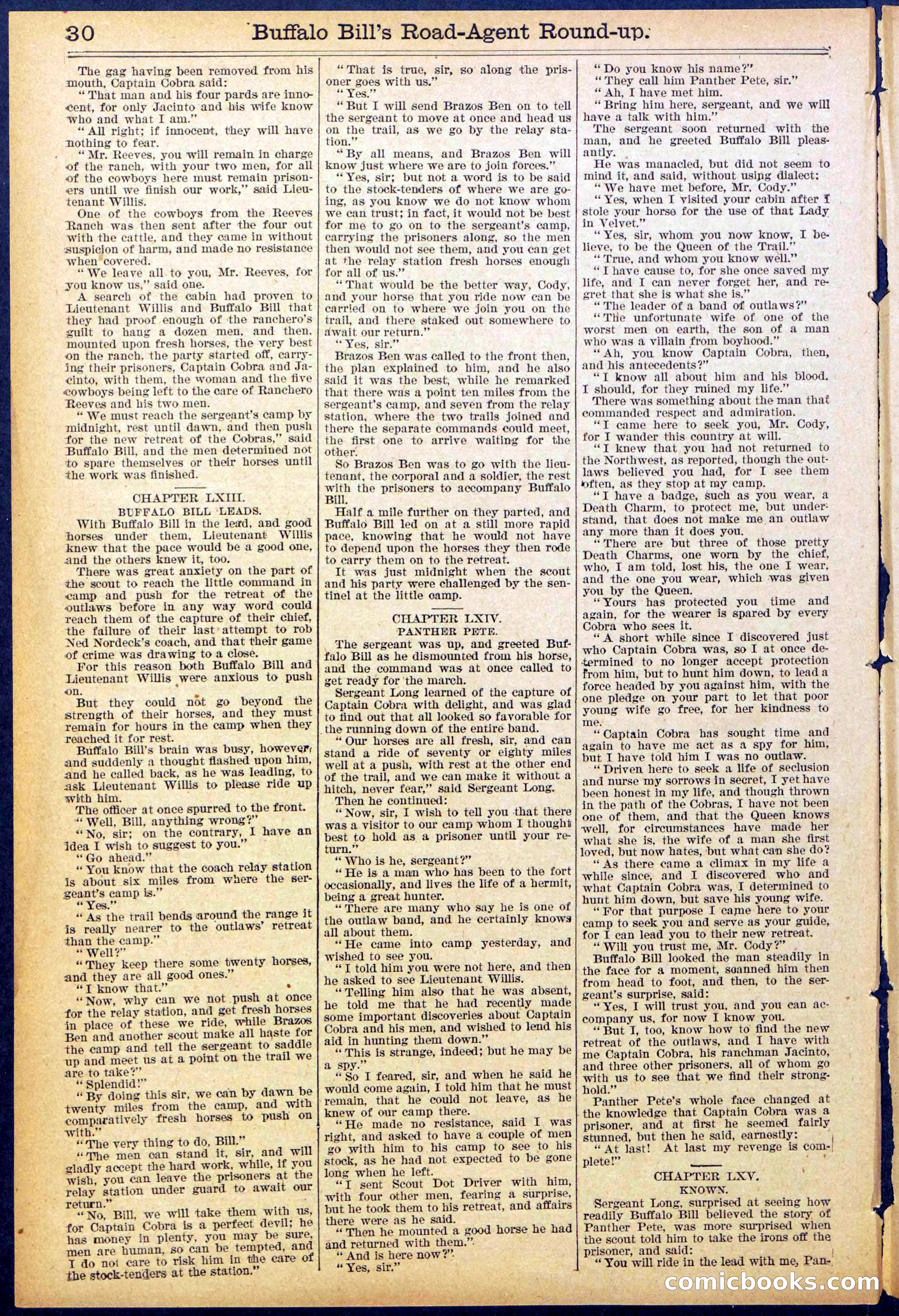 Beadle's Dime Library No. 869 — page 30 of 32