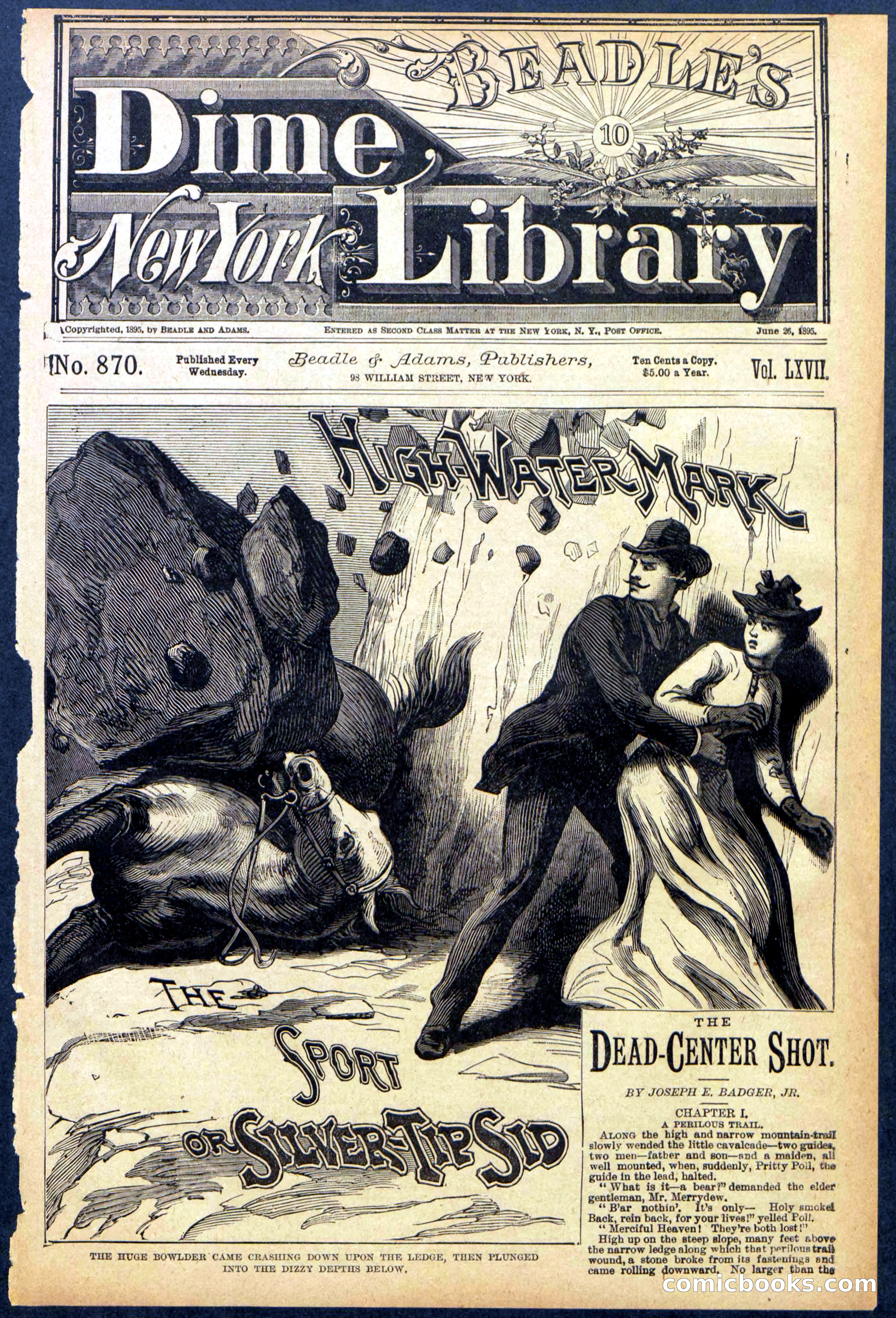 Beadle's New York Dime Library No. 870 — page 1 of 32