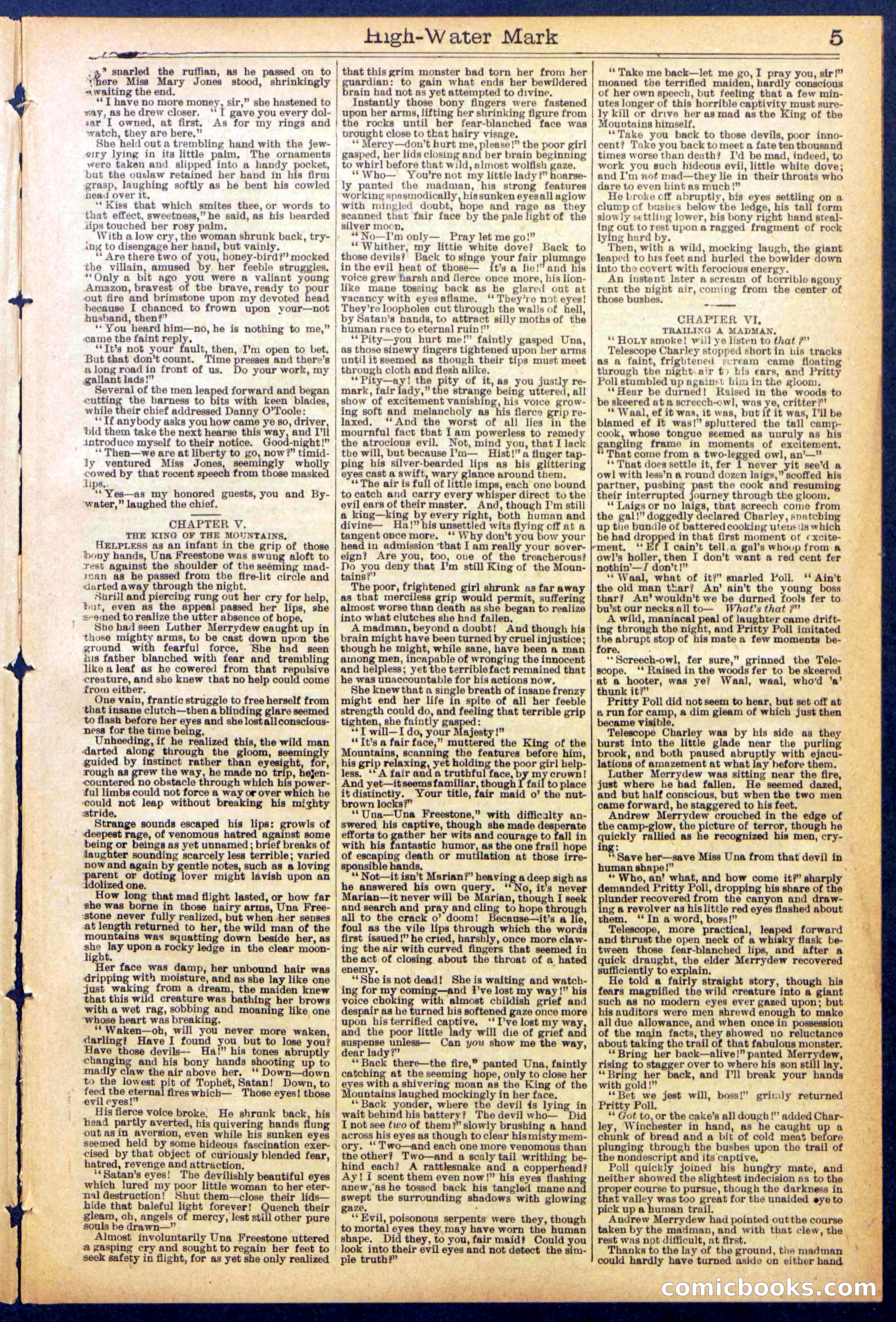 Beadle's New York Dime Library No. 870 — page 5 of 32