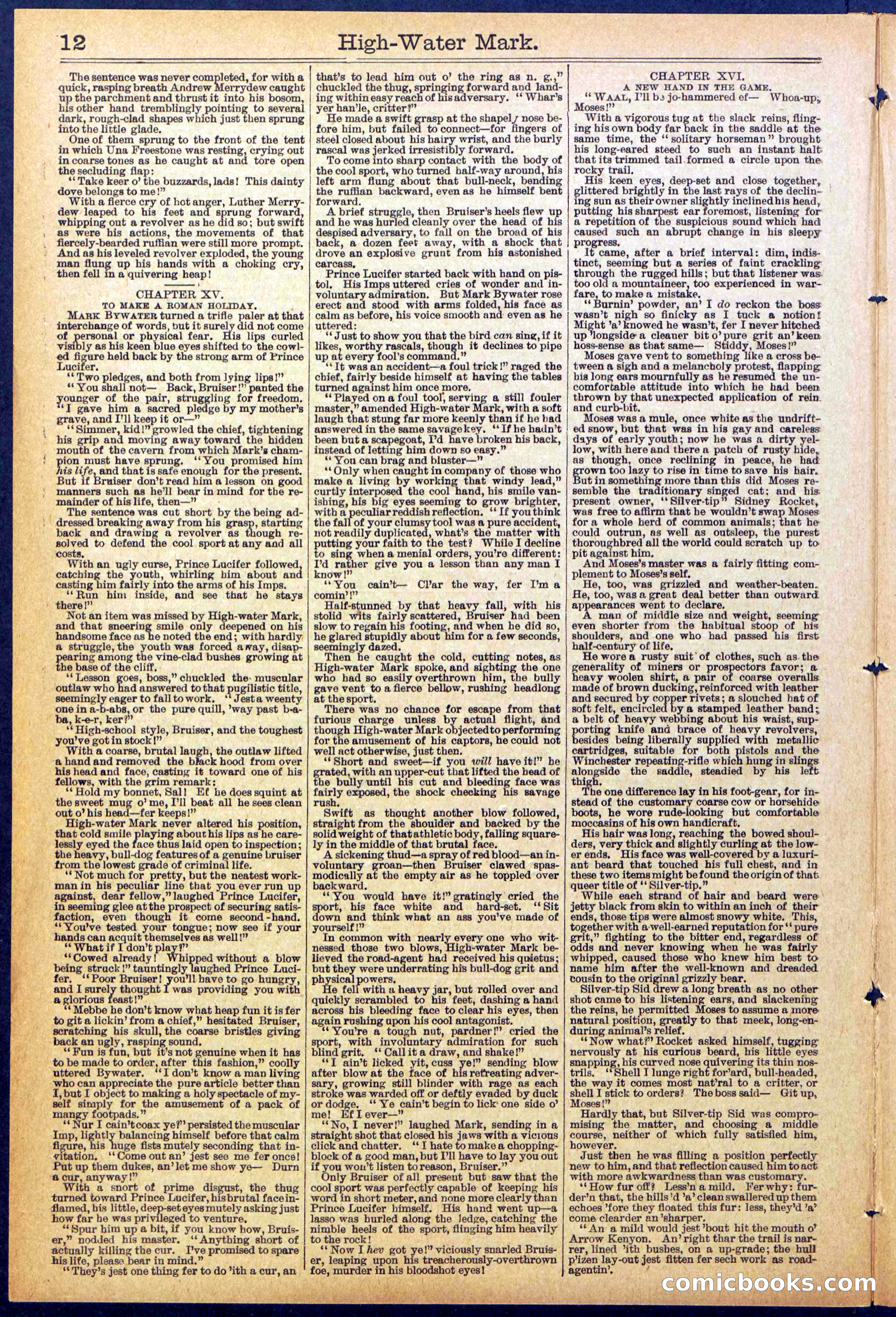Beadle's New York Dime Library No. 870 — page 12 of 32