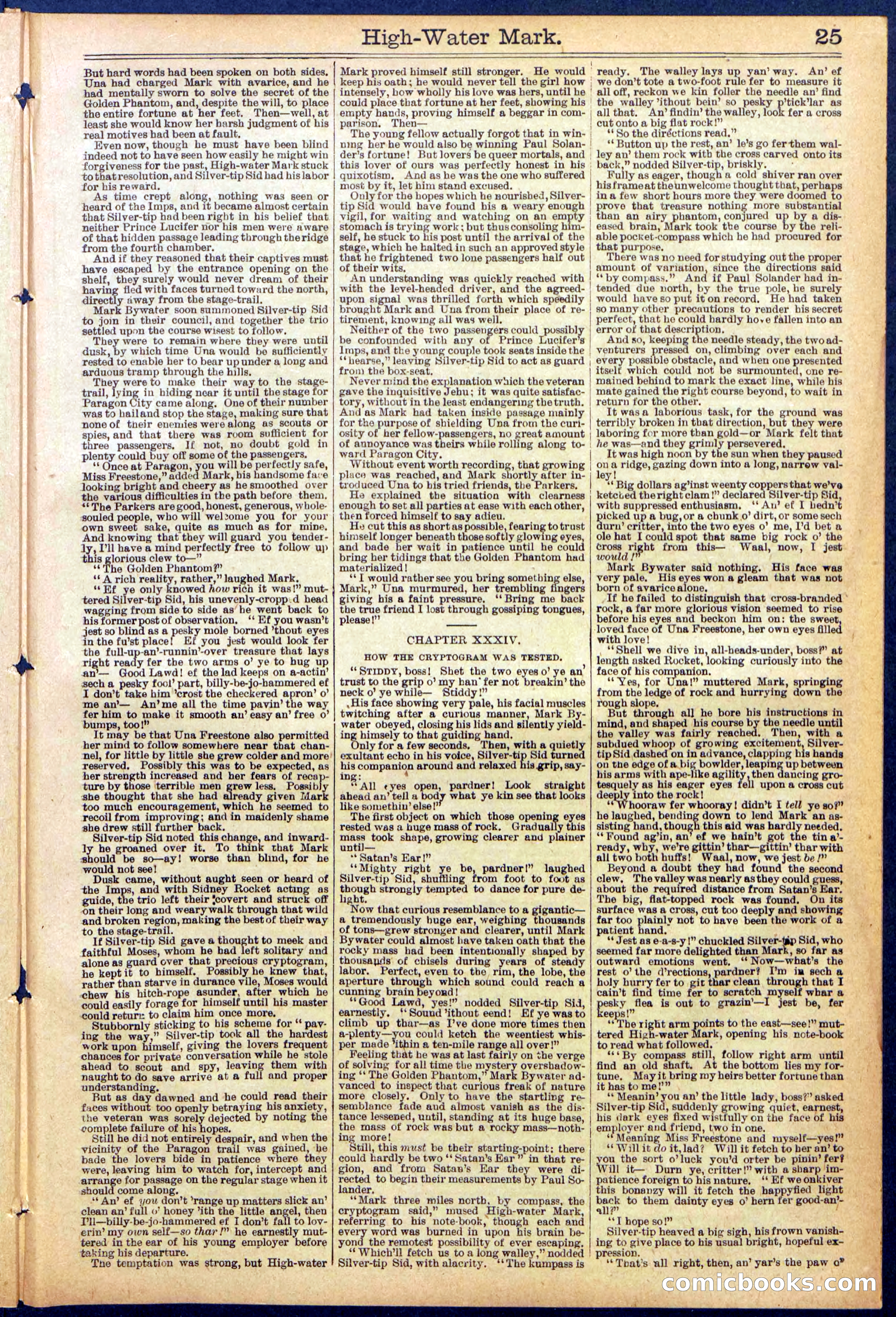 Beadle's New York Dime Library No. 870 — page 25 of 32
