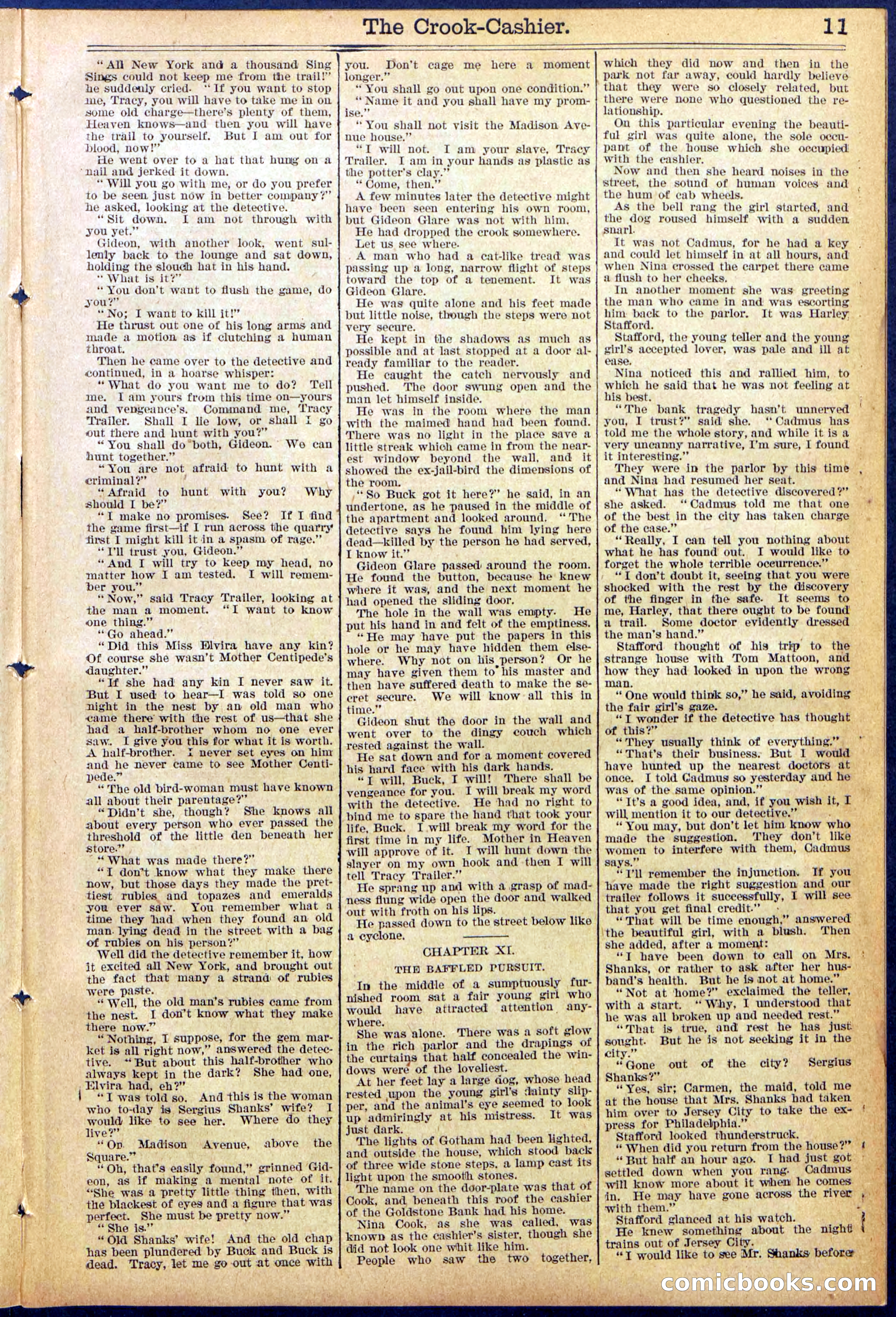 Beadle's New York Dime Library No. 871 — page 11 of 32