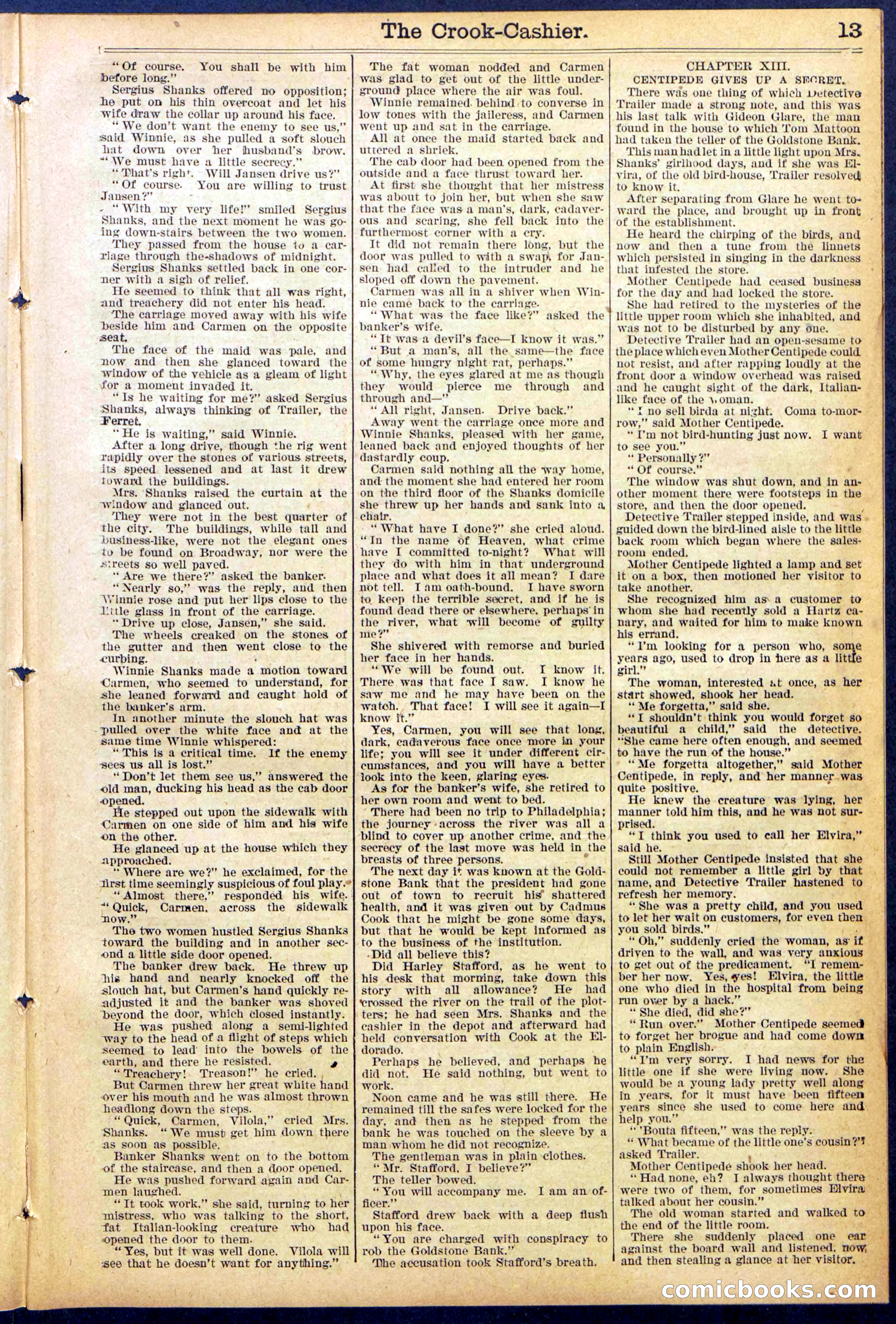 Beadle's New York Dime Library No. 871 — page 13 of 32