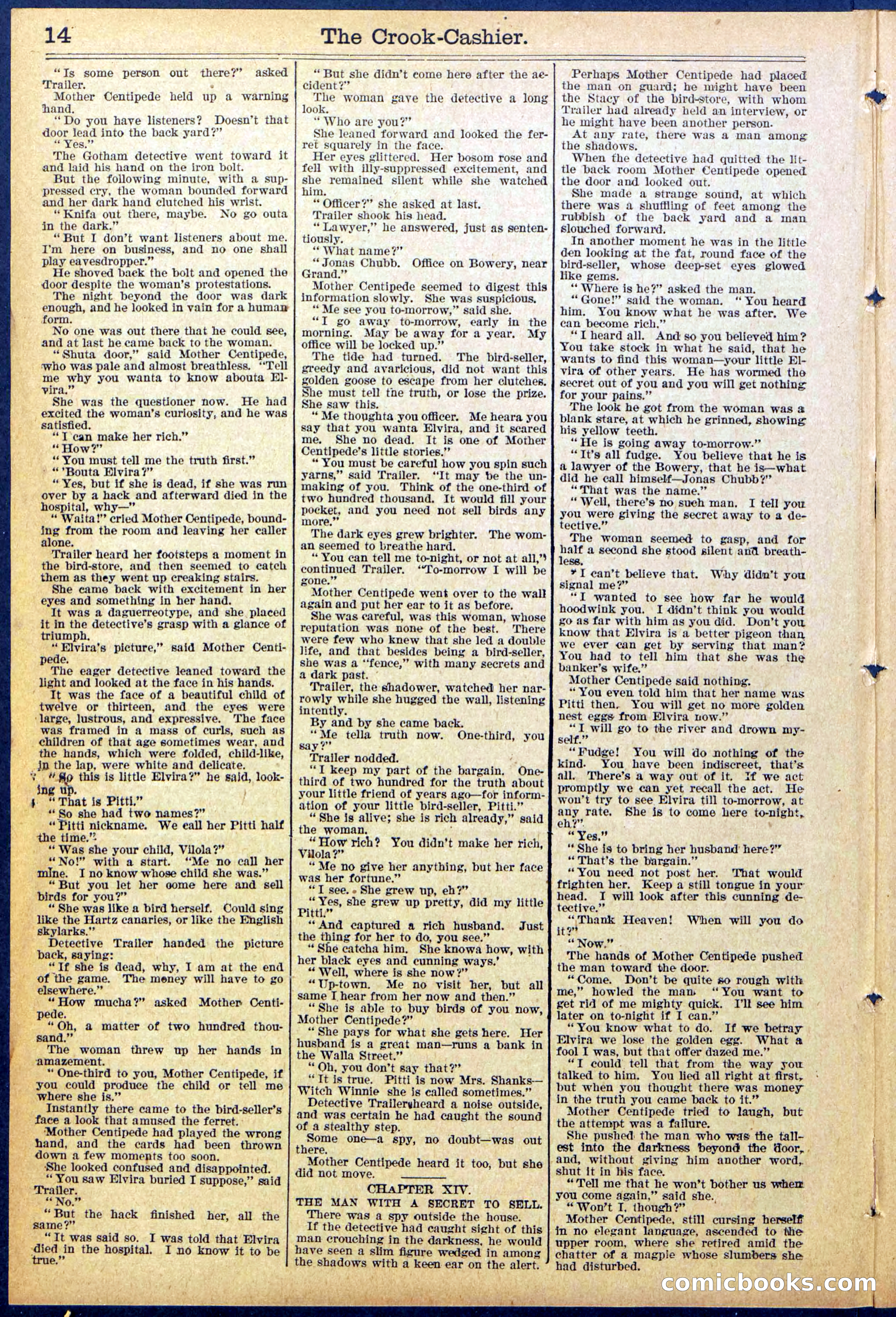 Beadle's New York Dime Library No. 871 — page 14 of 32