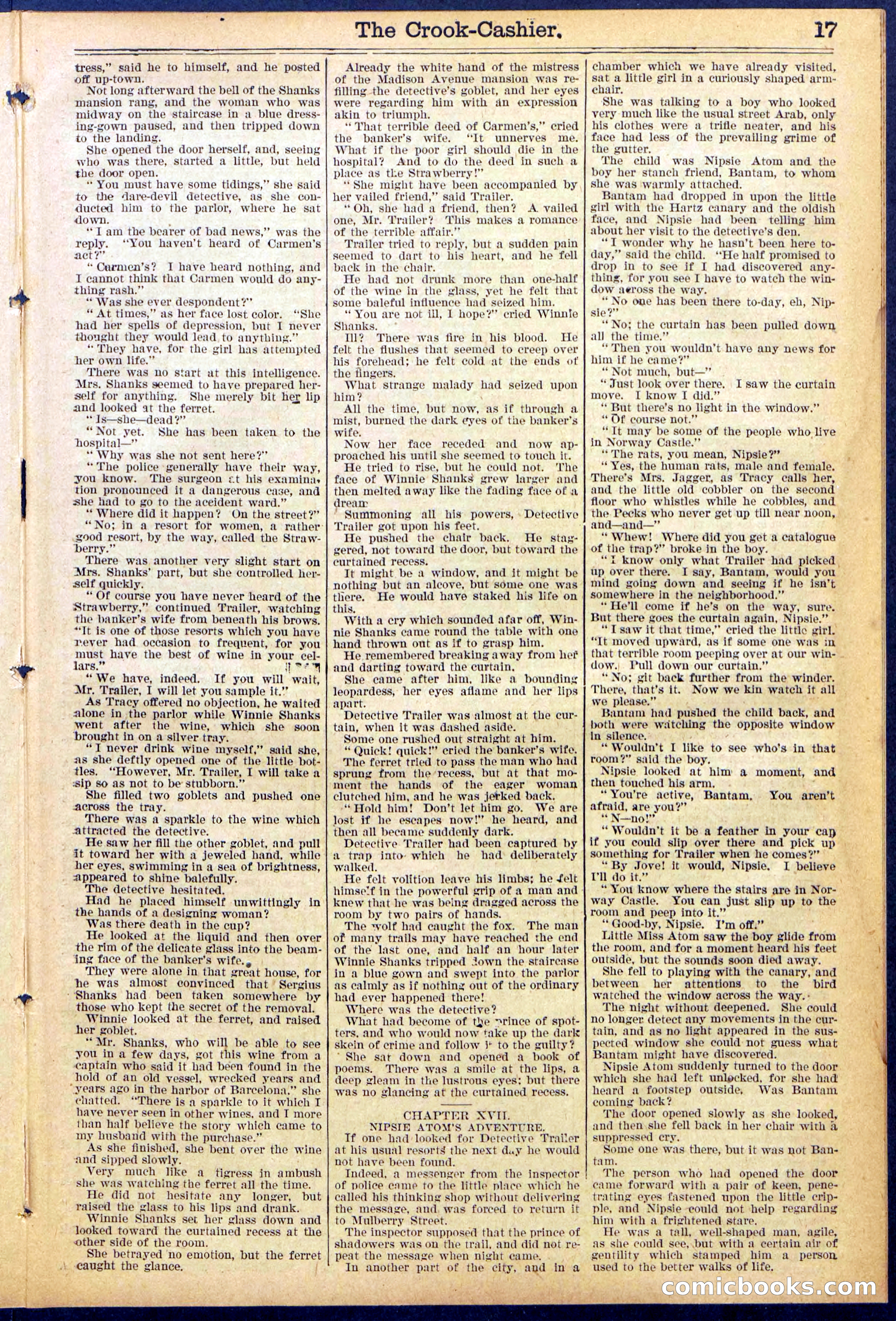 Beadle's New York Dime Library No. 871 — page 17 of 32