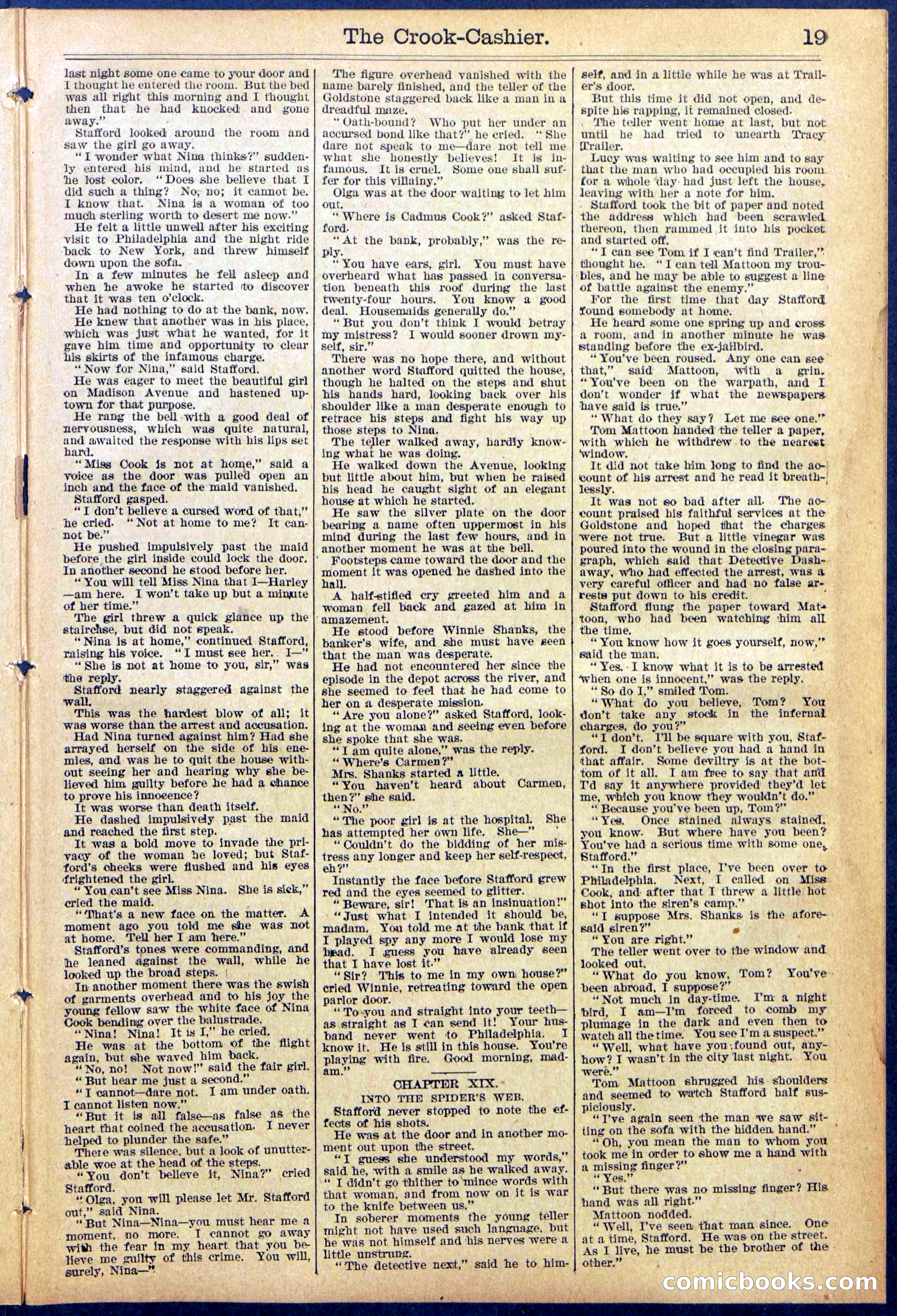 Beadle's New York Dime Library No. 871 — page 19 of 32