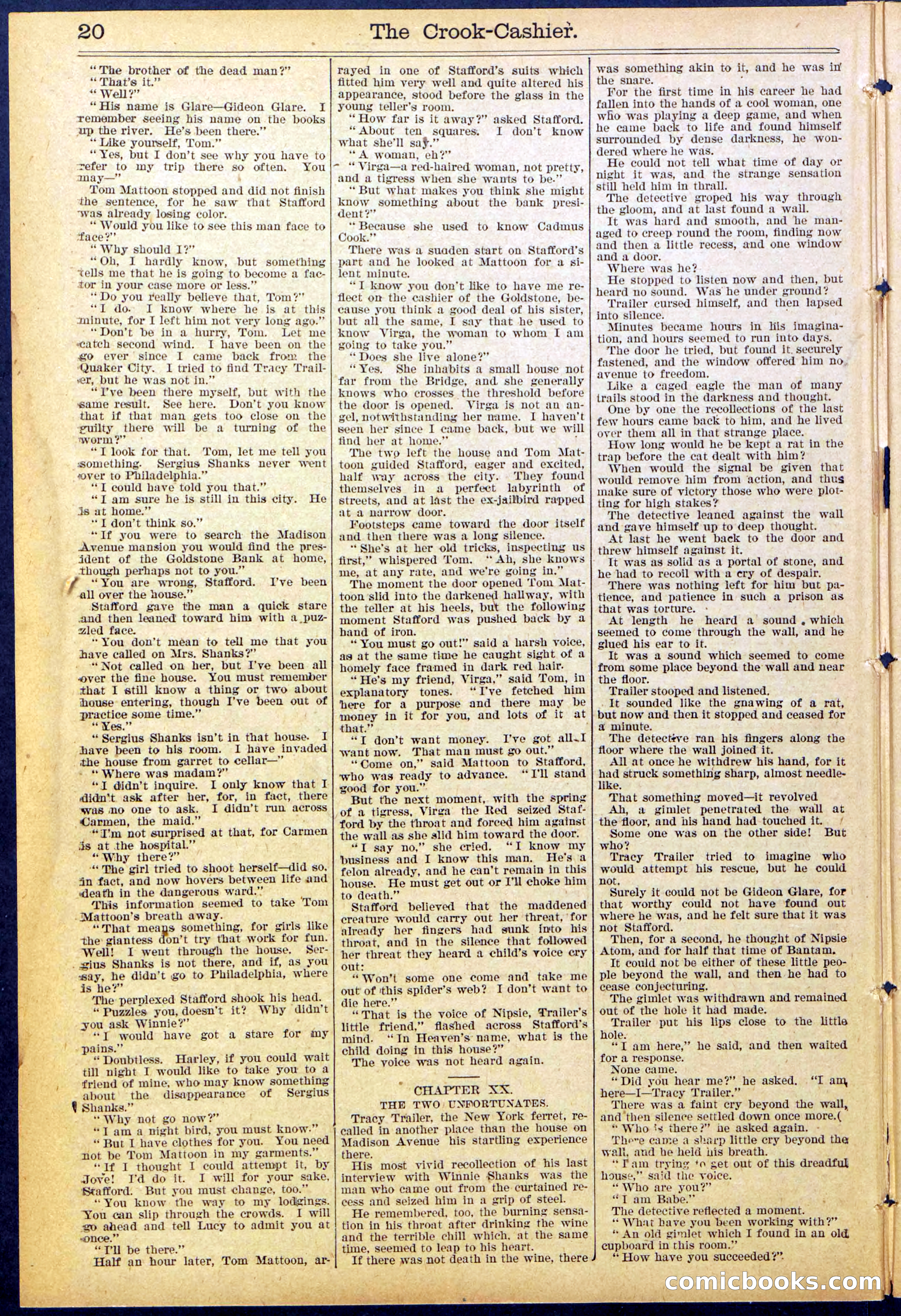 Beadle's New York Dime Library No. 871 — page 20 of 32