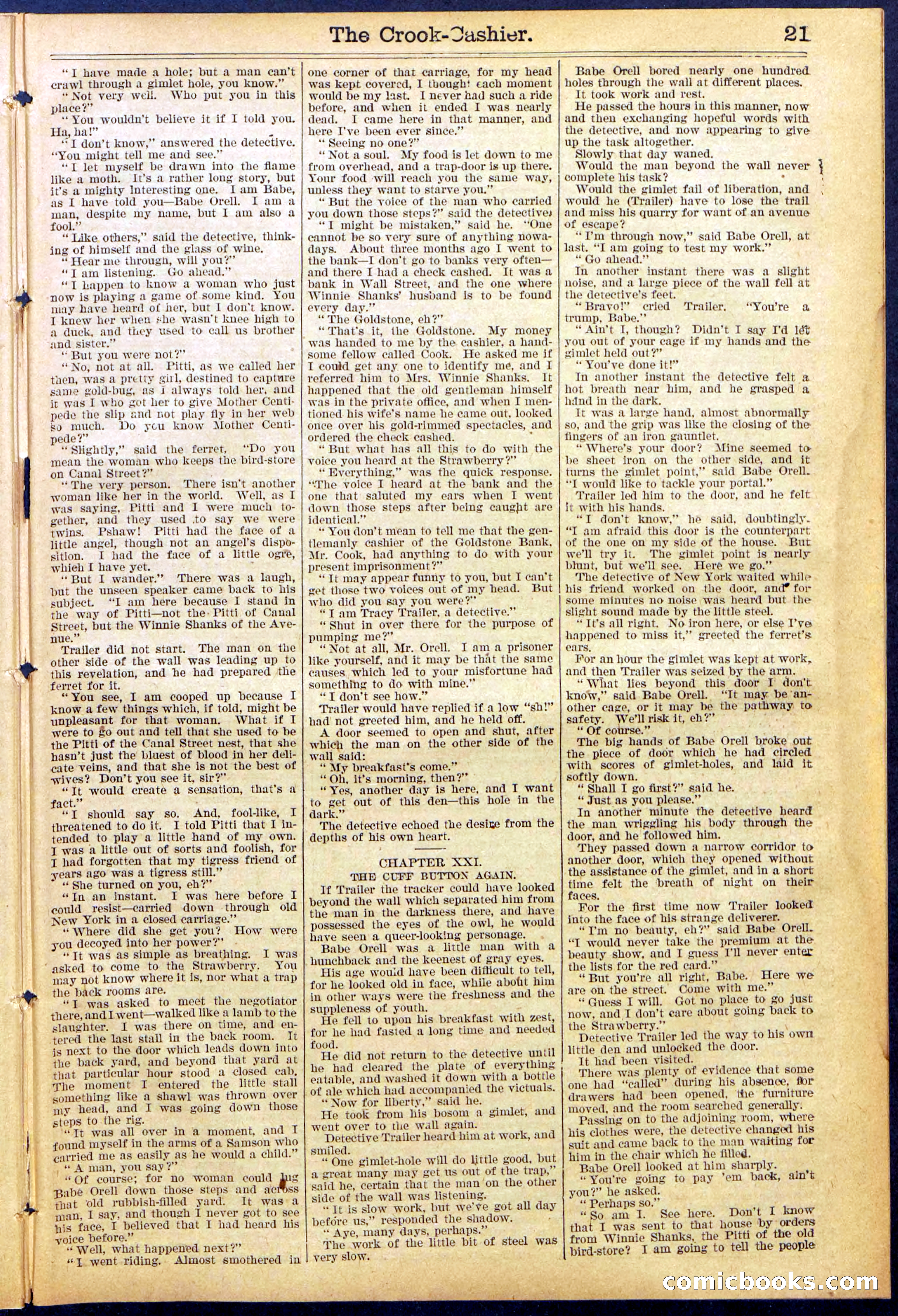 Beadle's New York Dime Library No. 871 — page 21 of 32
