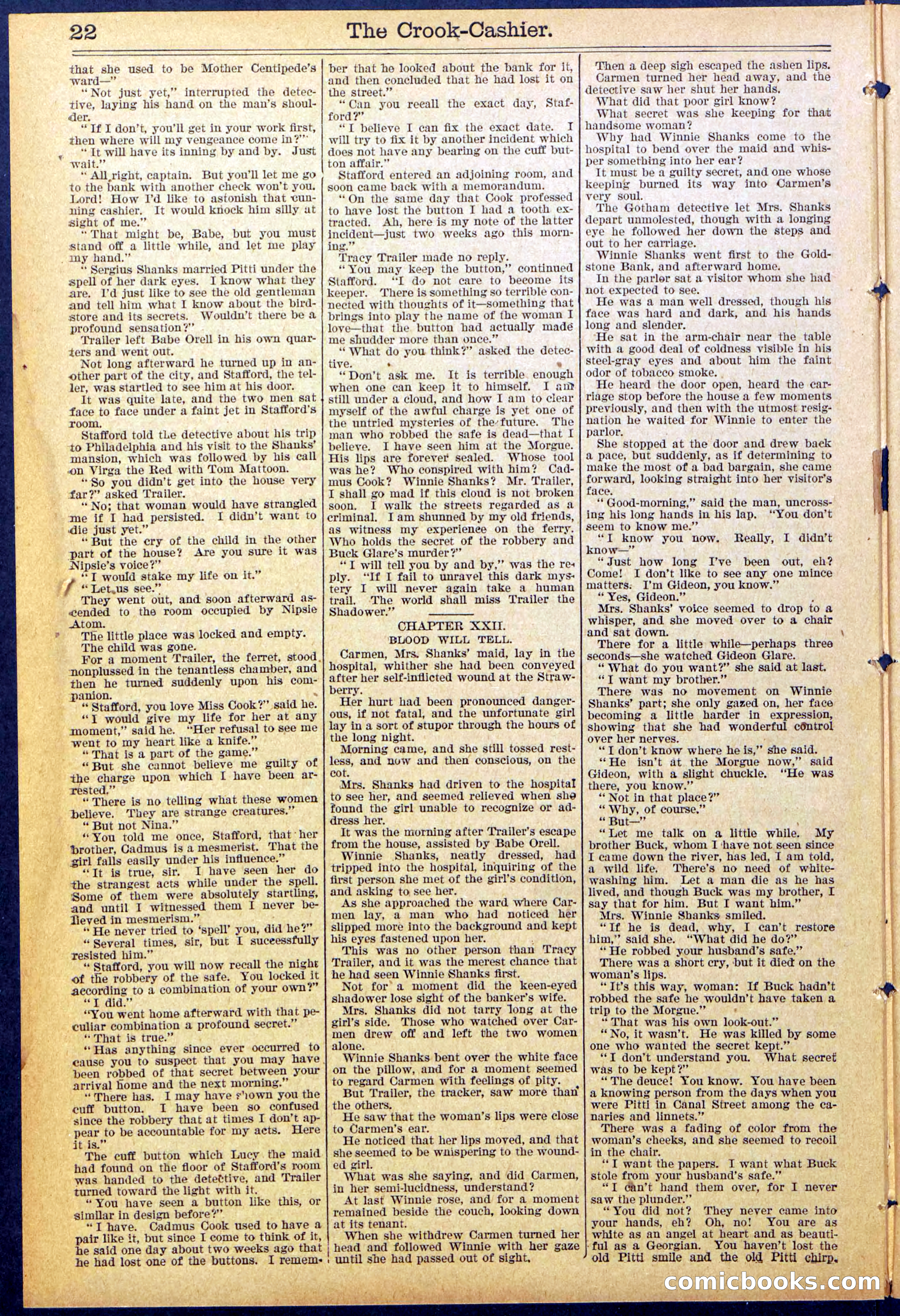 Beadle's New York Dime Library No. 871 — page 22 of 32