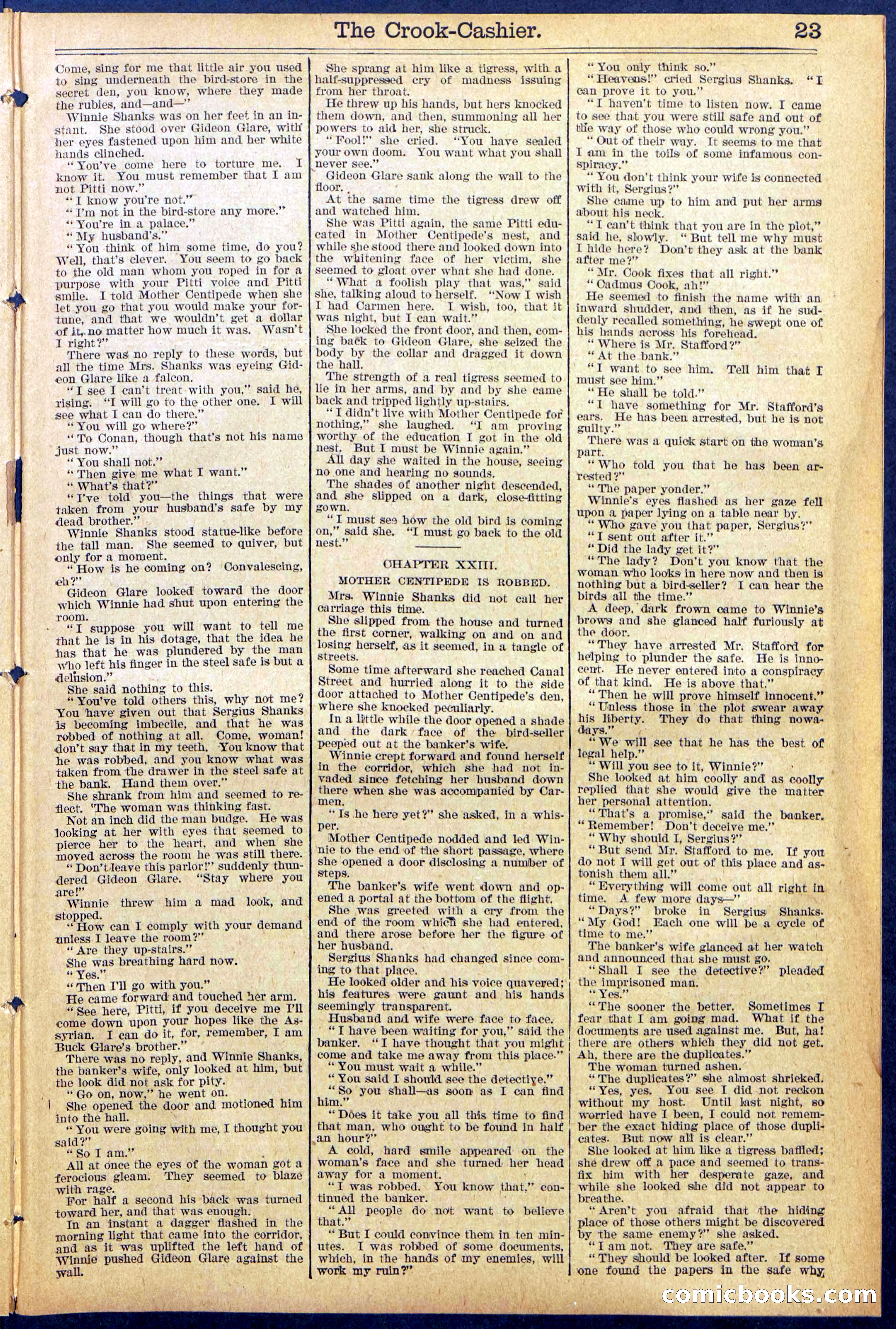 Beadle's New York Dime Library No. 871 — page 23 of 32