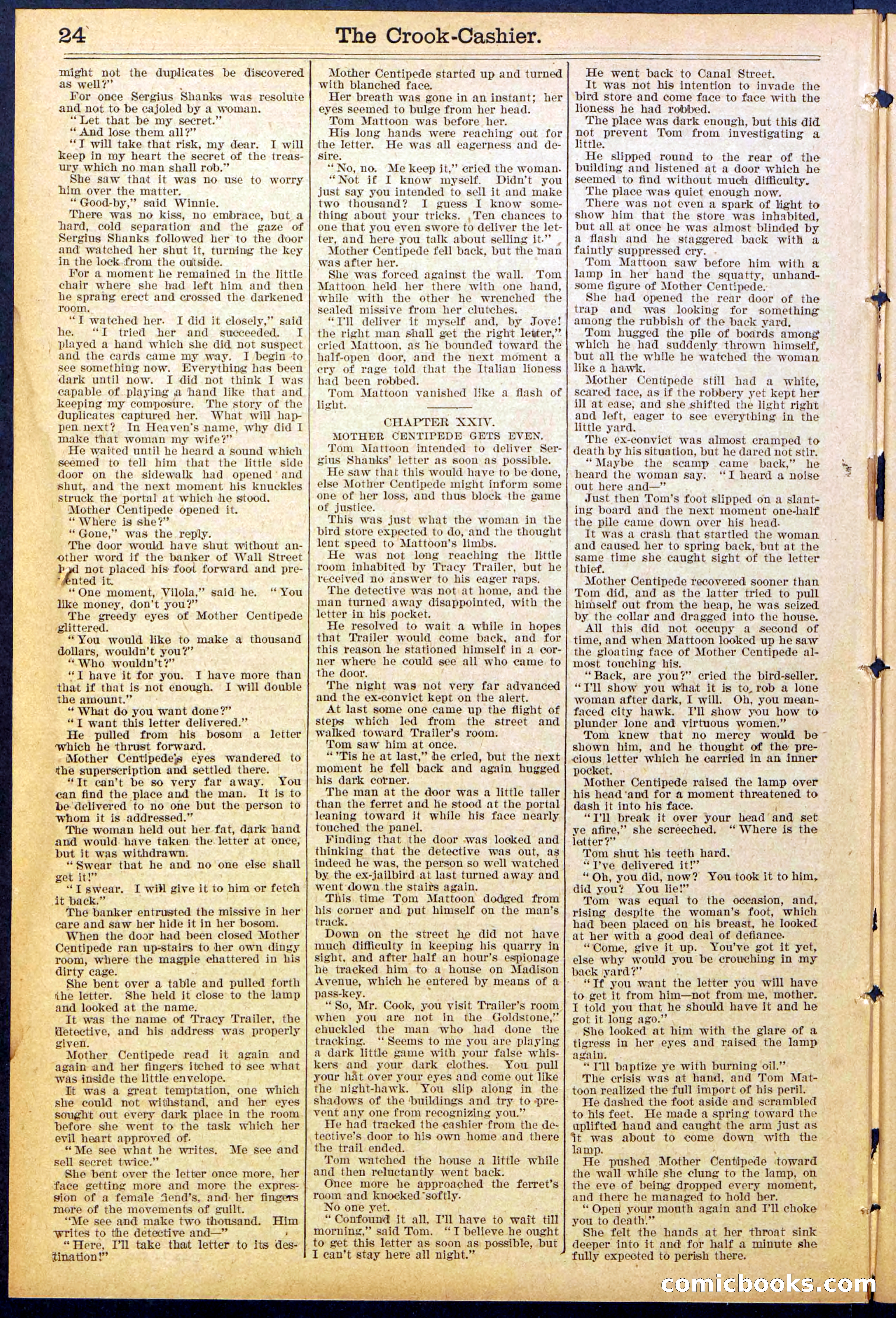 Beadle's New York Dime Library No. 871 — page 24 of 32