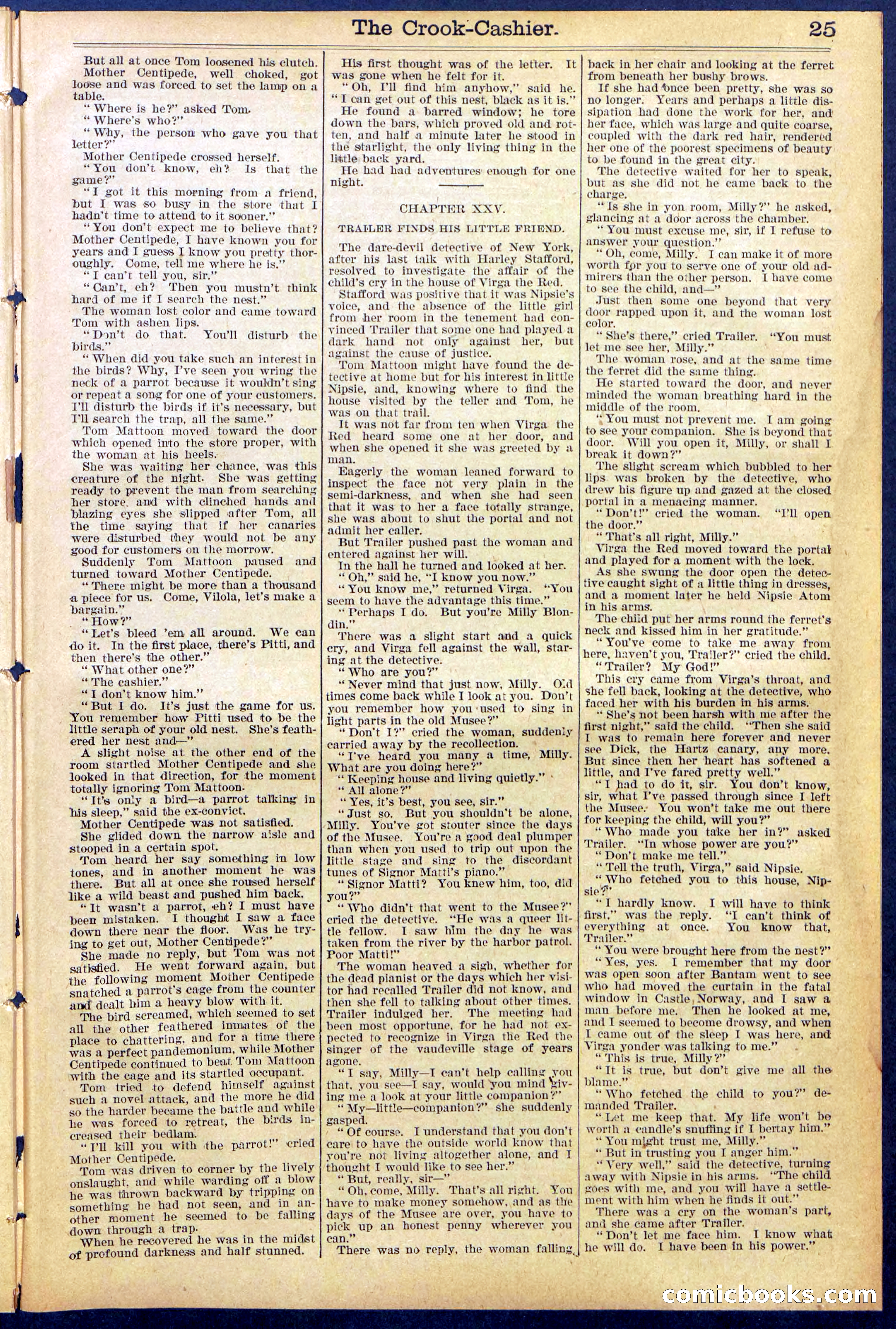 Beadle's New York Dime Library No. 871 — page 25 of 32