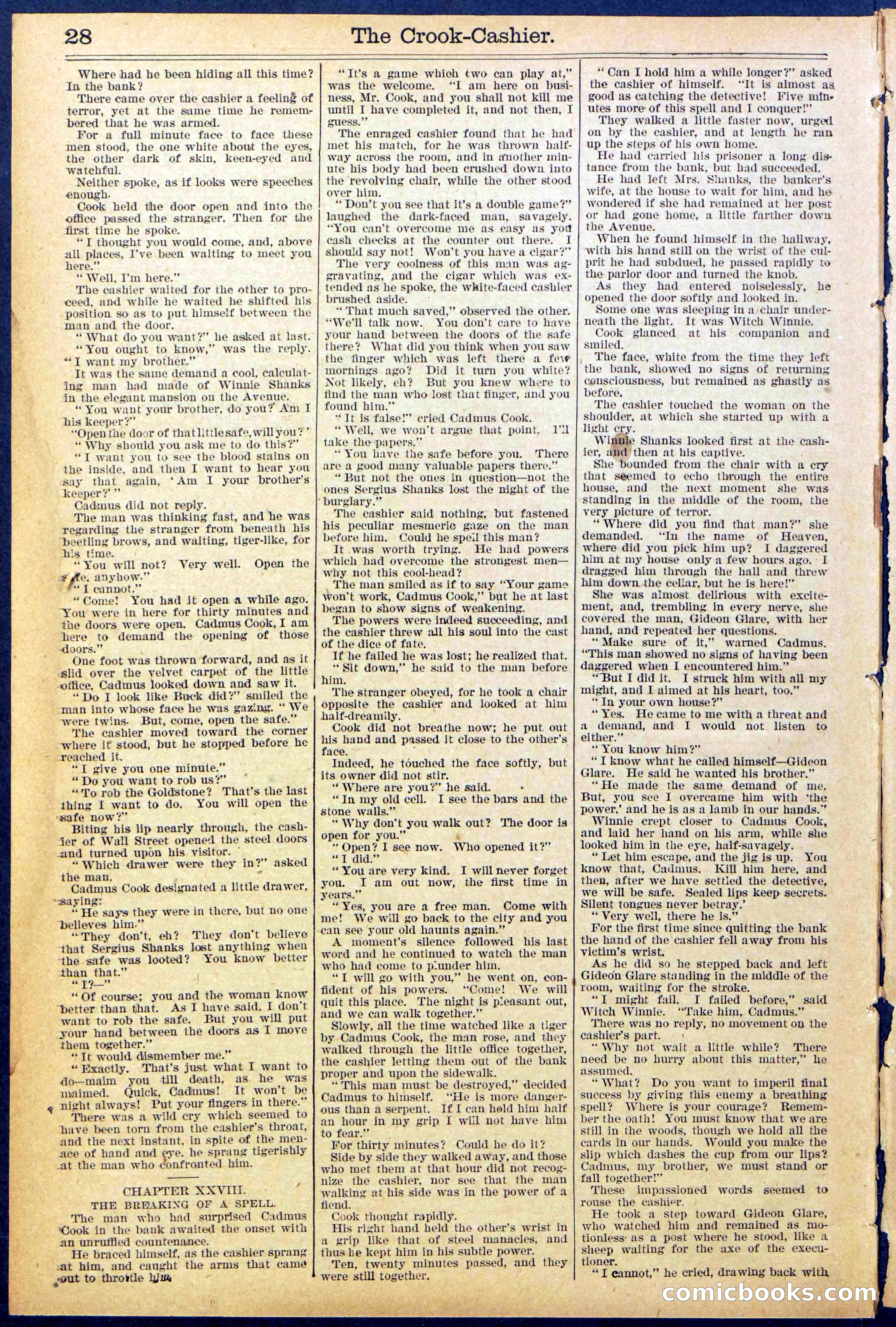 Beadle's New York Dime Library No. 871 — page 28 of 32