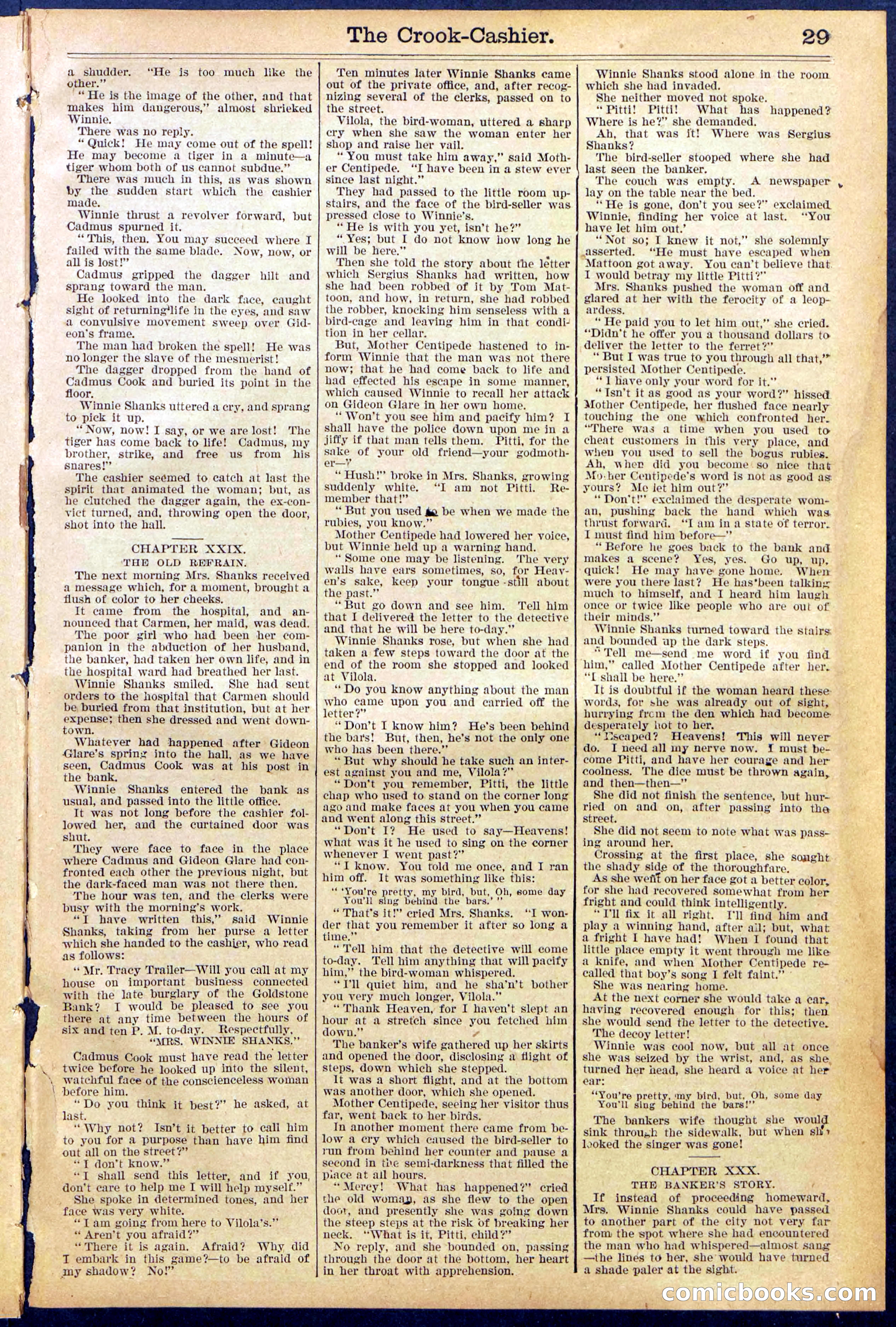 Beadle's New York Dime Library No. 871 — page 29 of 32