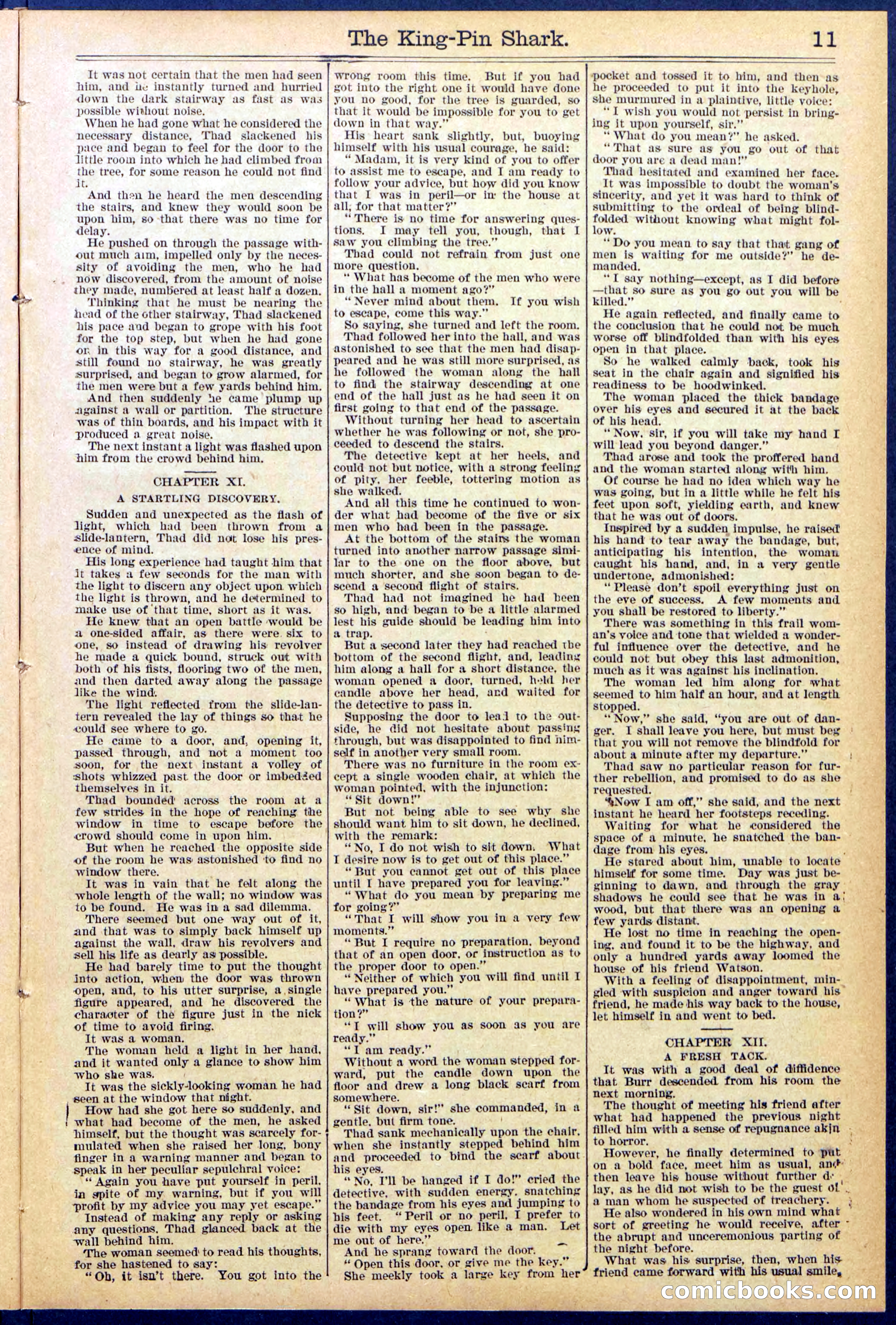 Beadle's Dime Library No. 872 — page 11 of 31