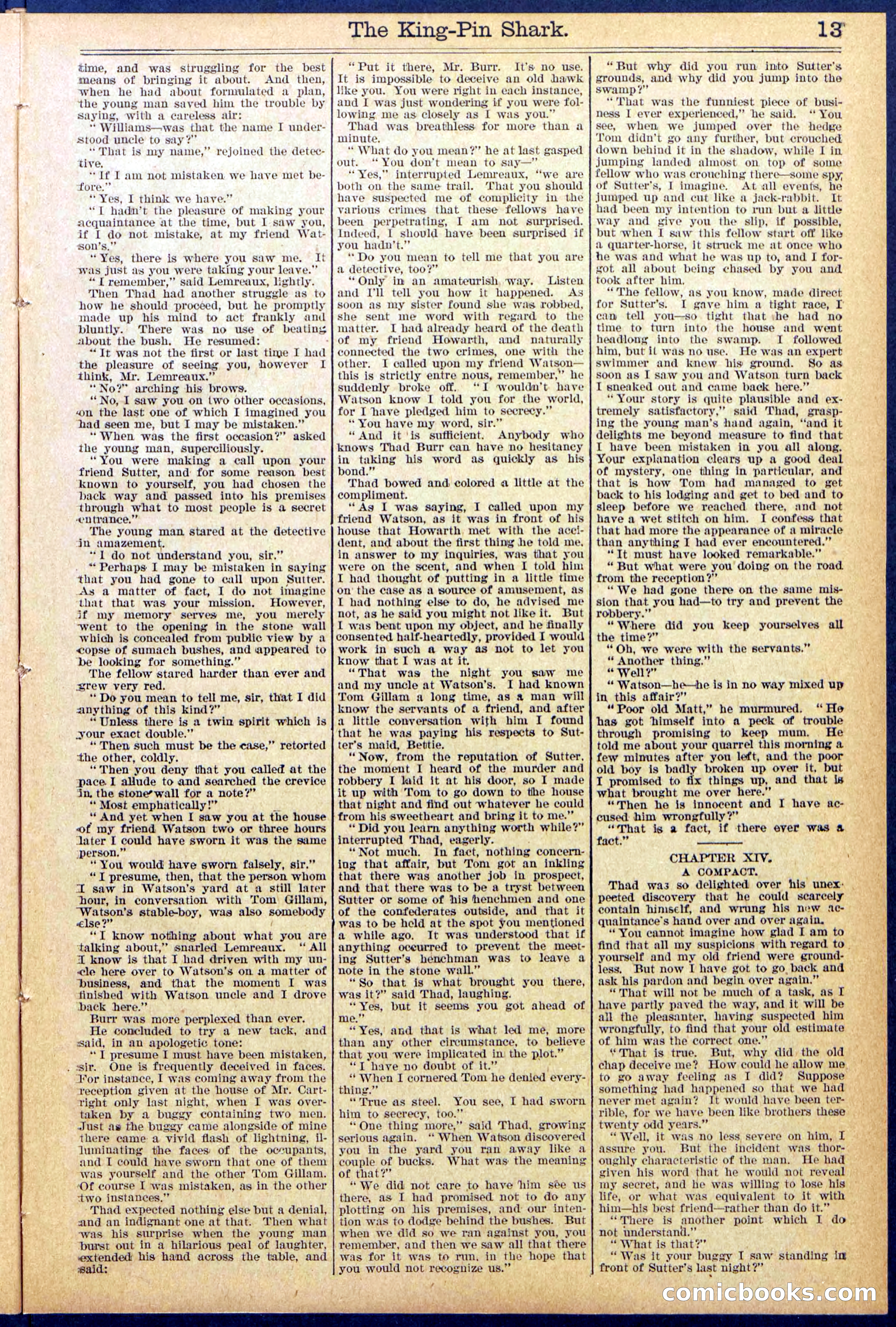 Beadle's Dime Library No. 872 — page 13 of 31