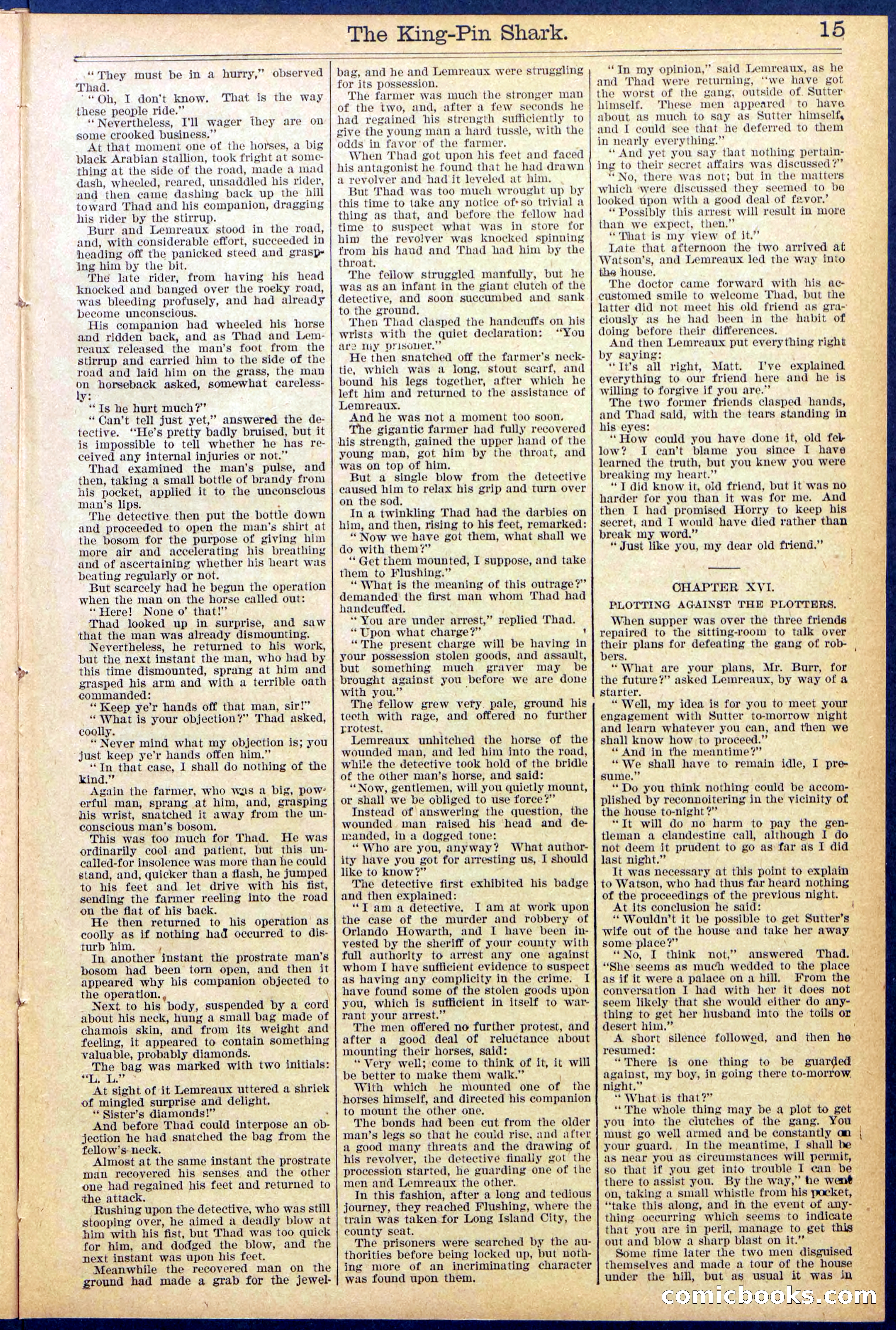 Beadle's Dime Library No. 872 — page 15 of 31