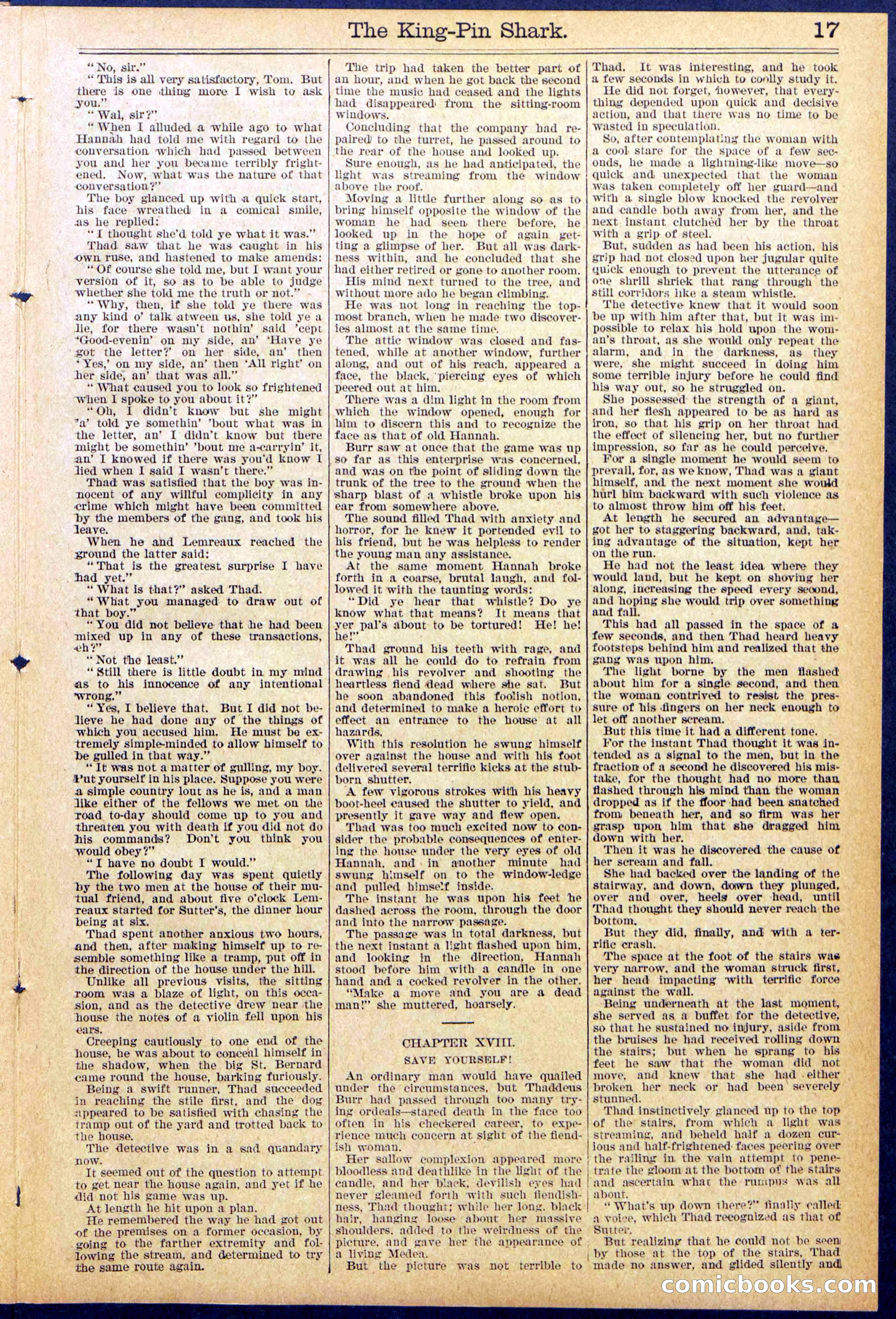 Beadle's Dime Library No. 872 — page 17 of 31