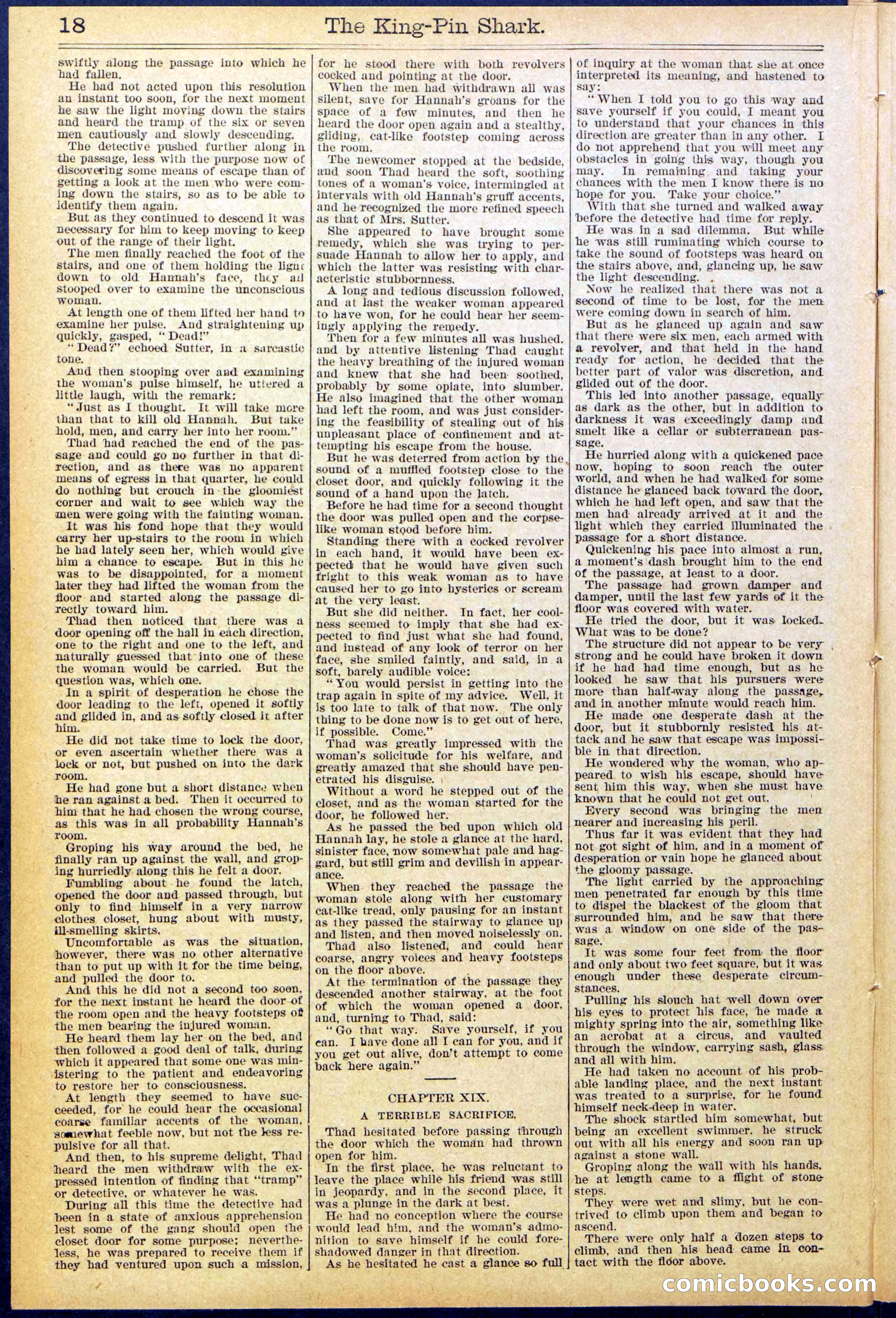 Beadle's Dime Library No. 872 — page 18 of 31