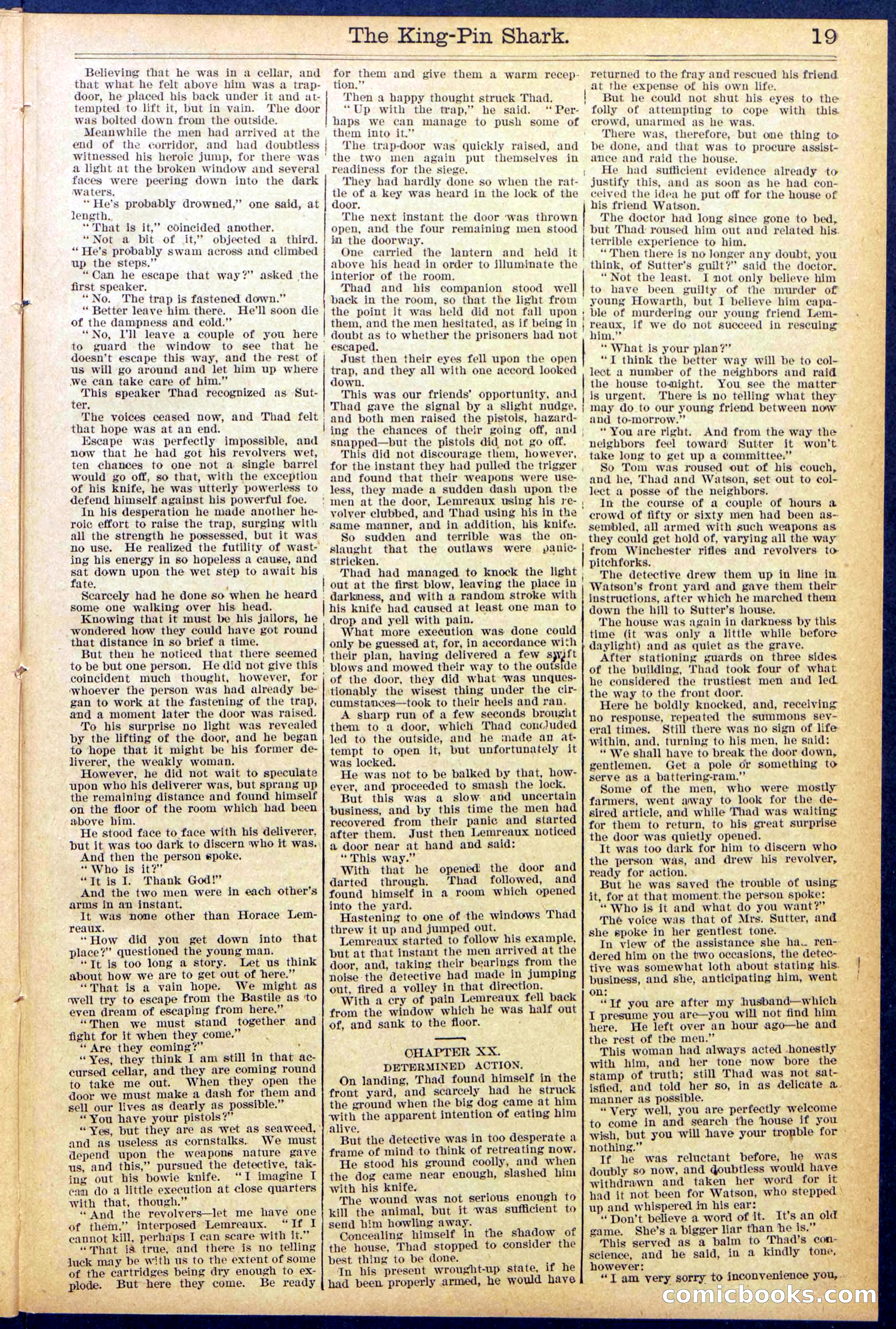 Beadle's Dime Library No. 872 — page 19 of 31