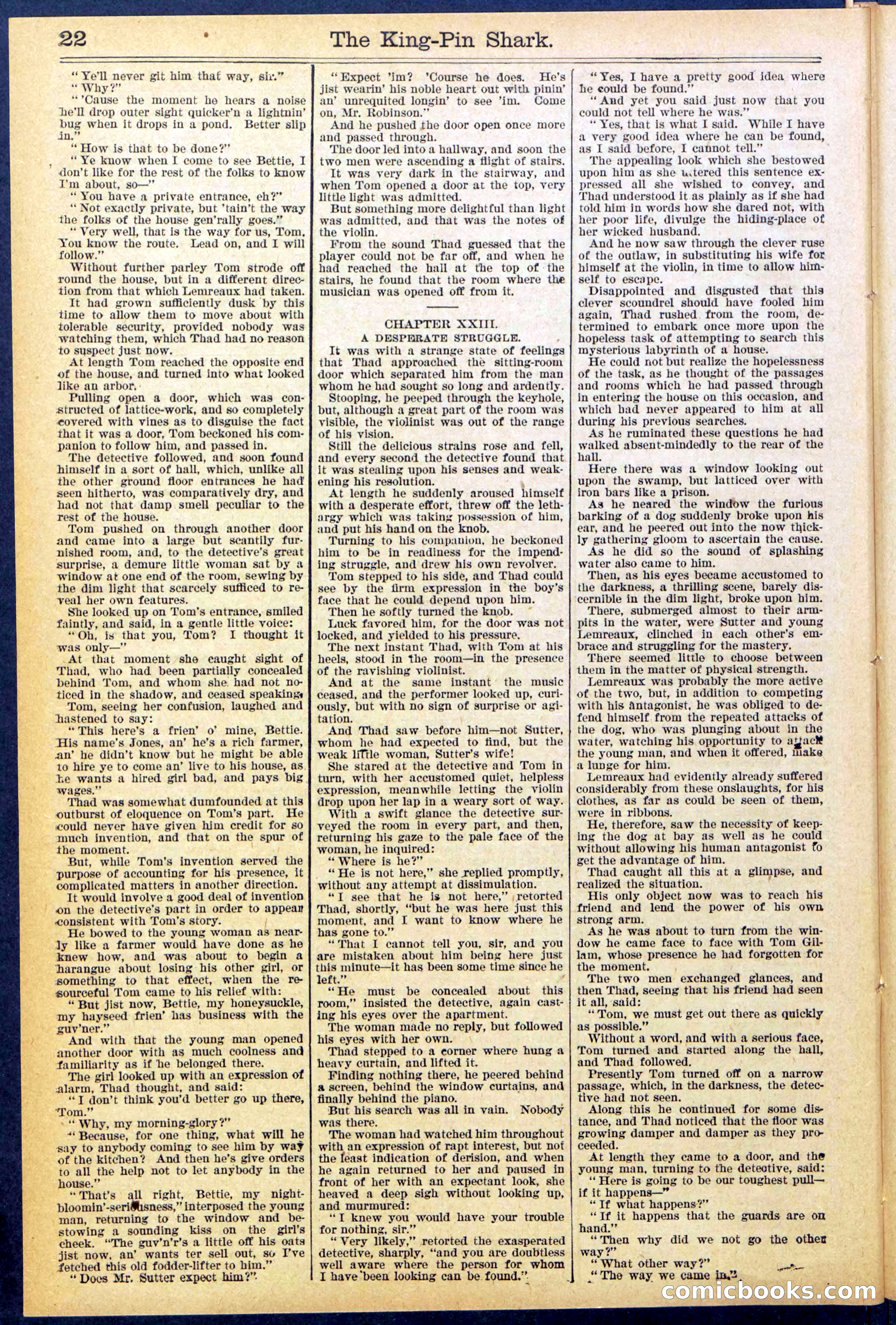 Beadle's Dime Library No. 872 — page 22 of 31
